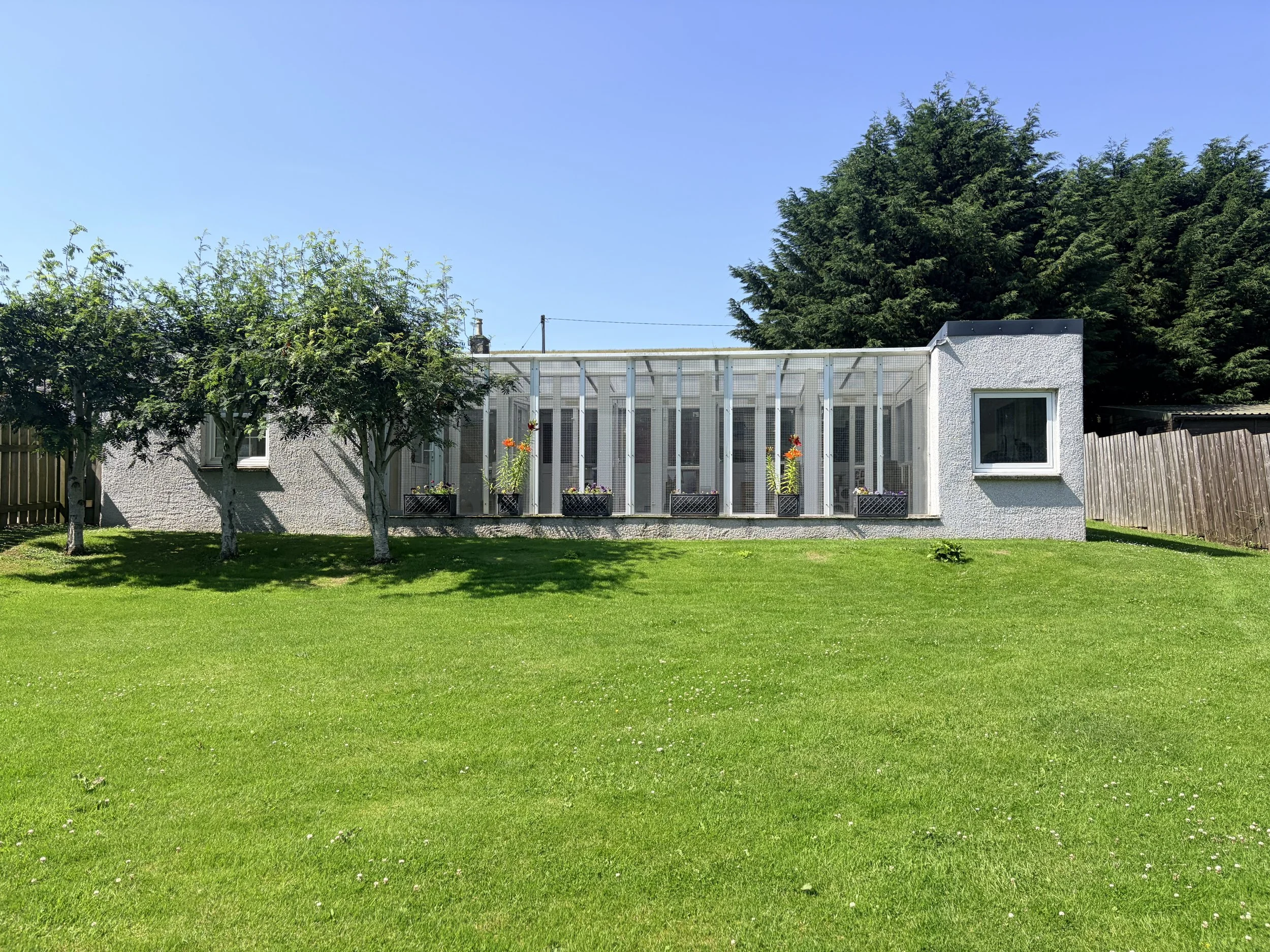 A backyard with a well-manicured green lawn, trees, and a white building with a sunroom or screened porch, flowers in planters, and a wooden fence.
