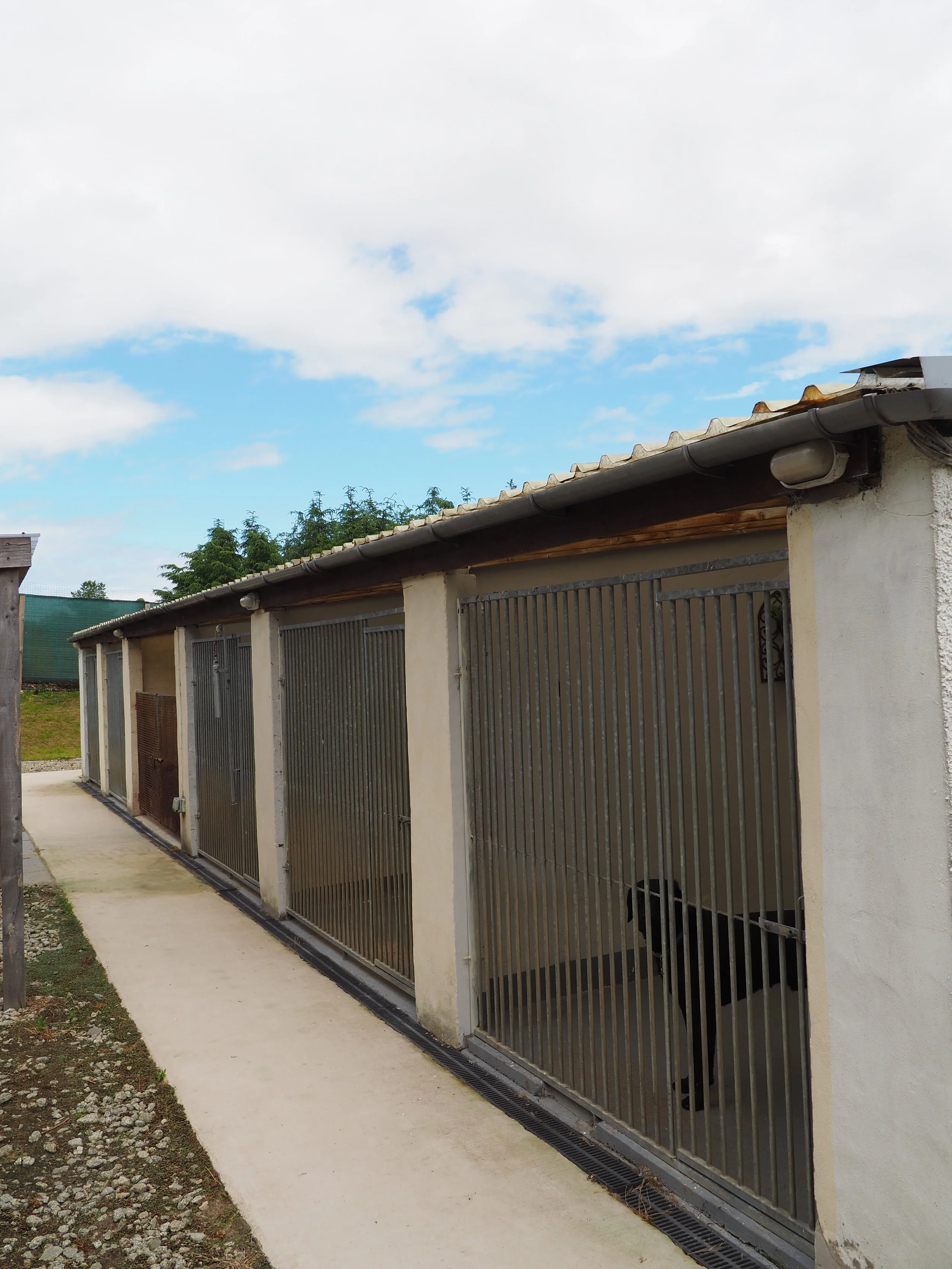 A row of metal gates attached to a building, with a concrete walkway and some gravel in front. The building has a roof with shingles, a gutter, and exterior lights. Trees and a fence are visible in the background, under a partly cloudy sky.