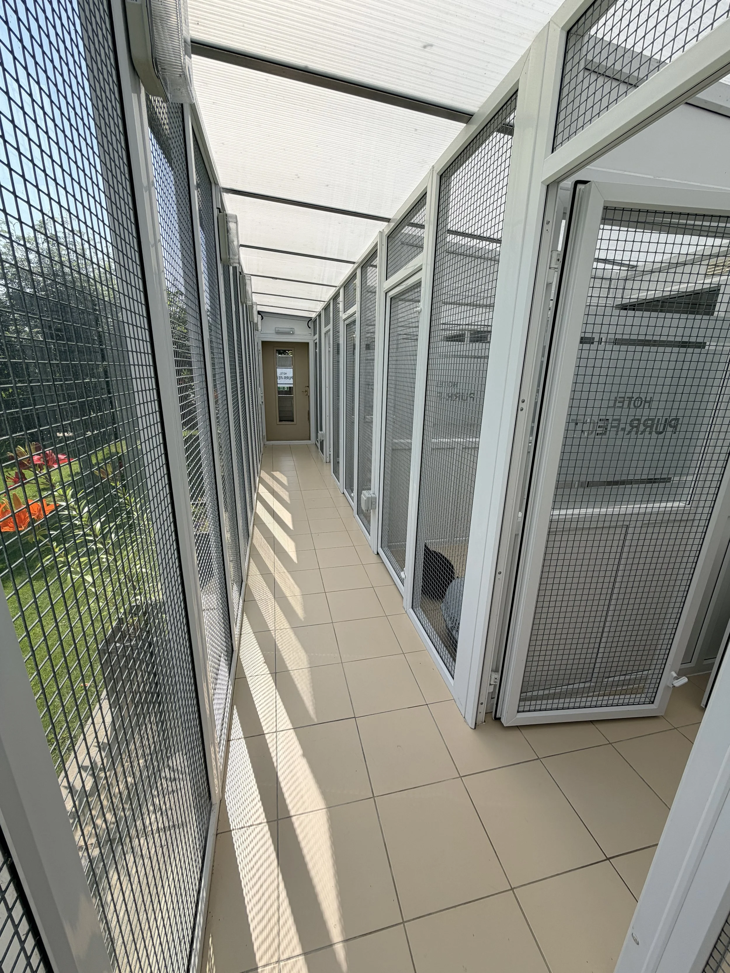 Empty animal shelter kennels with metal wire doors, tiled floor, and glass door at the end.