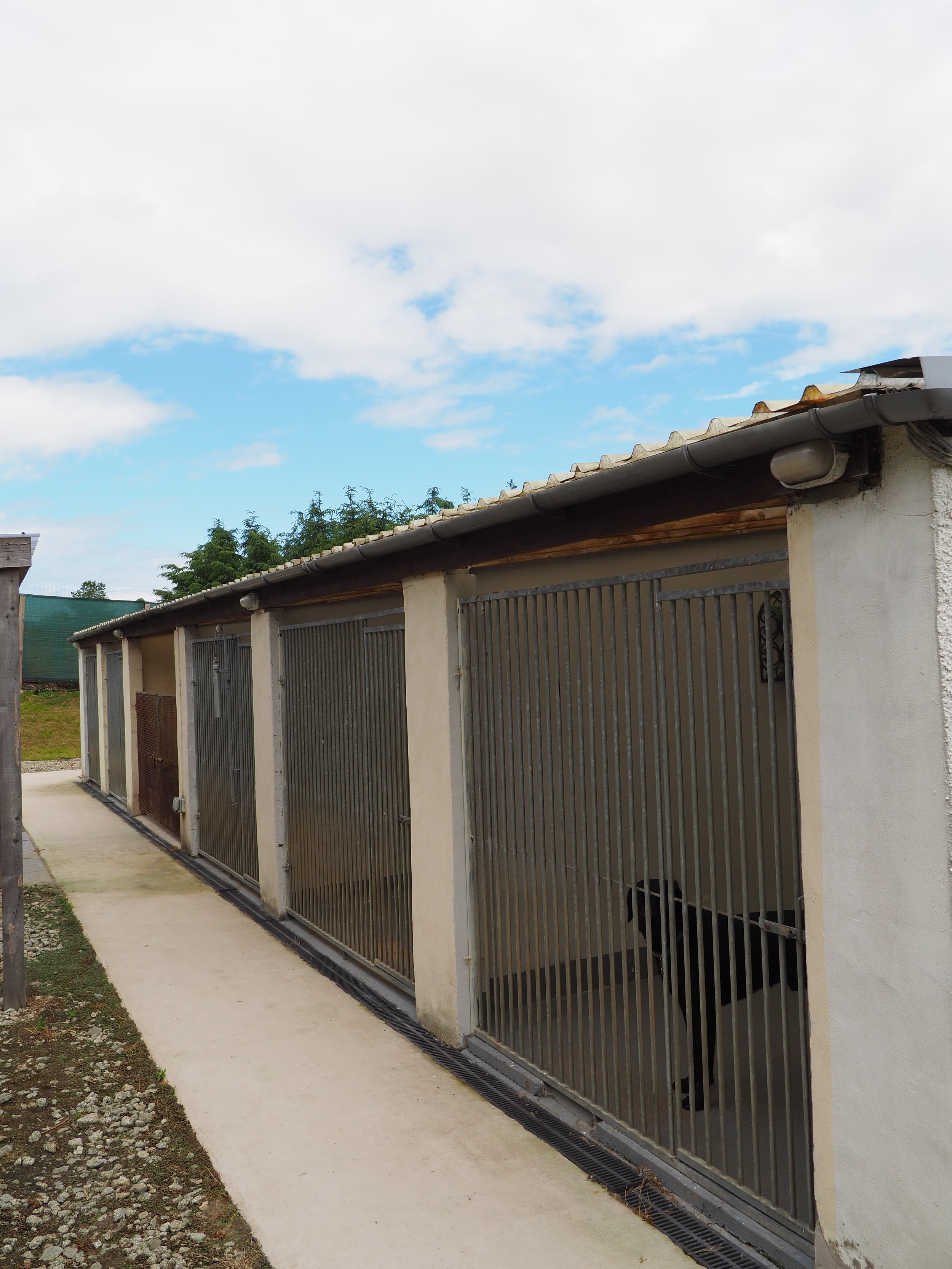 A row of outdoor metal animal cages with gates, placed along a concrete pathway next to a beige wall, with a cloudy sky overhead.