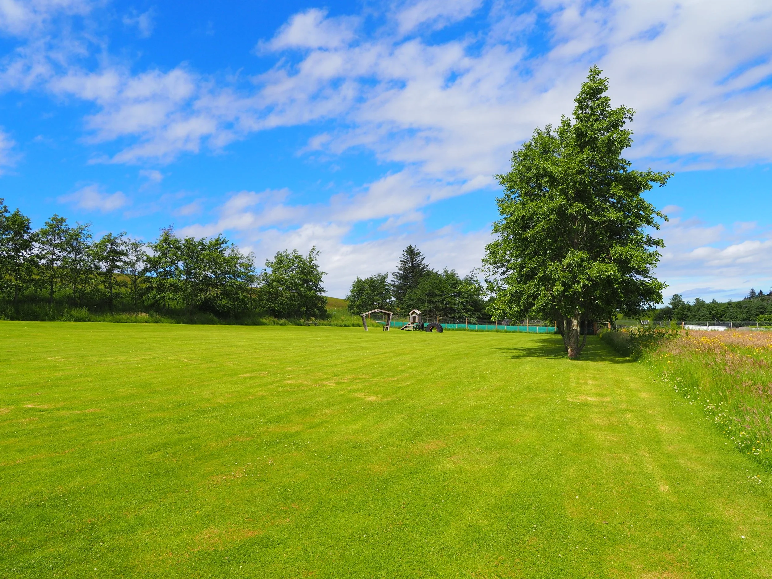 A bright blue sky with scattered white clouds, a large green tree on the right, and a wide grassy field with trees and playground equipment in the background.