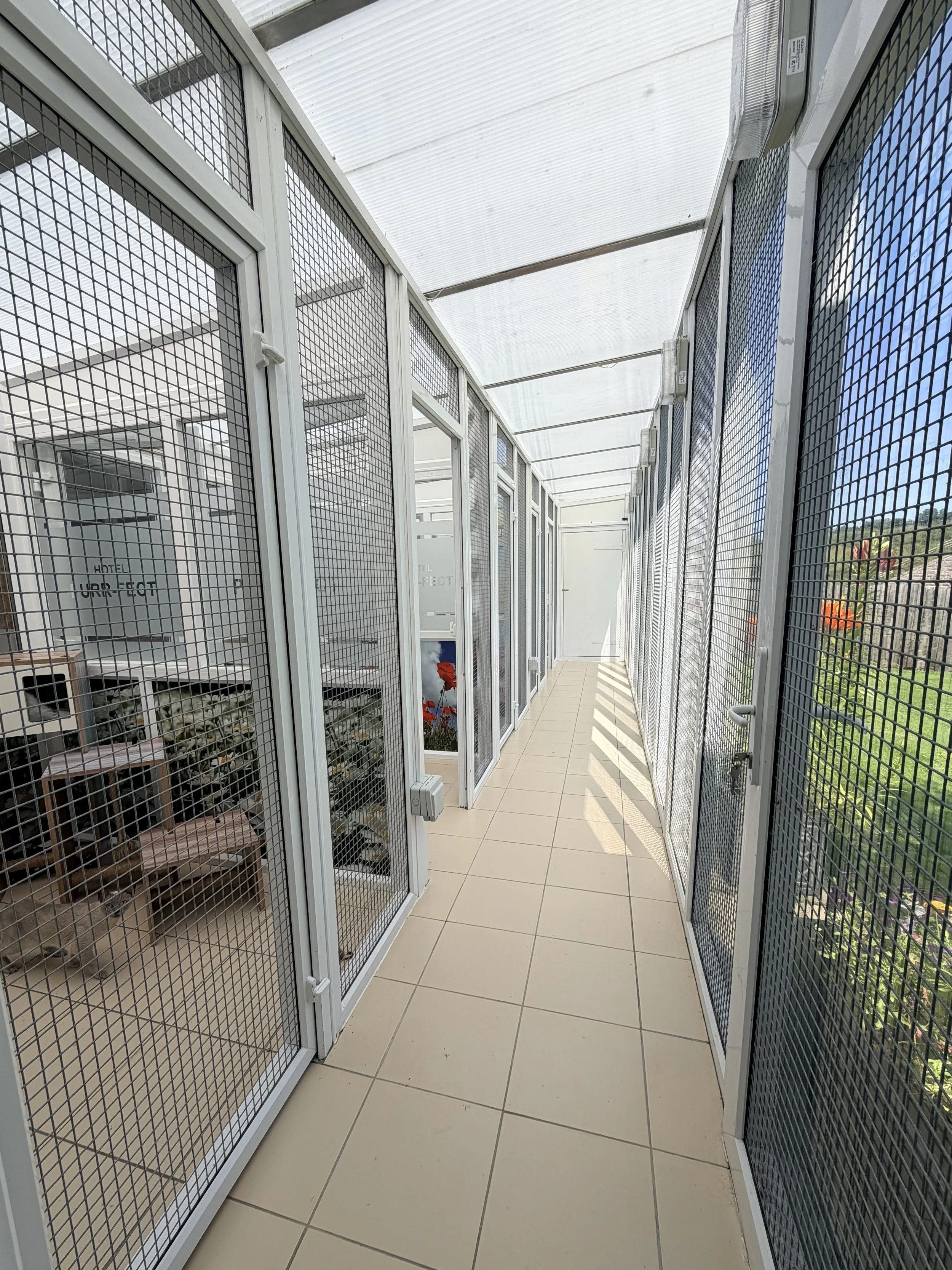 A view of a corridor with mesh metal cages on both sides, sunlight streaming through the ceiling, and a door at the end.