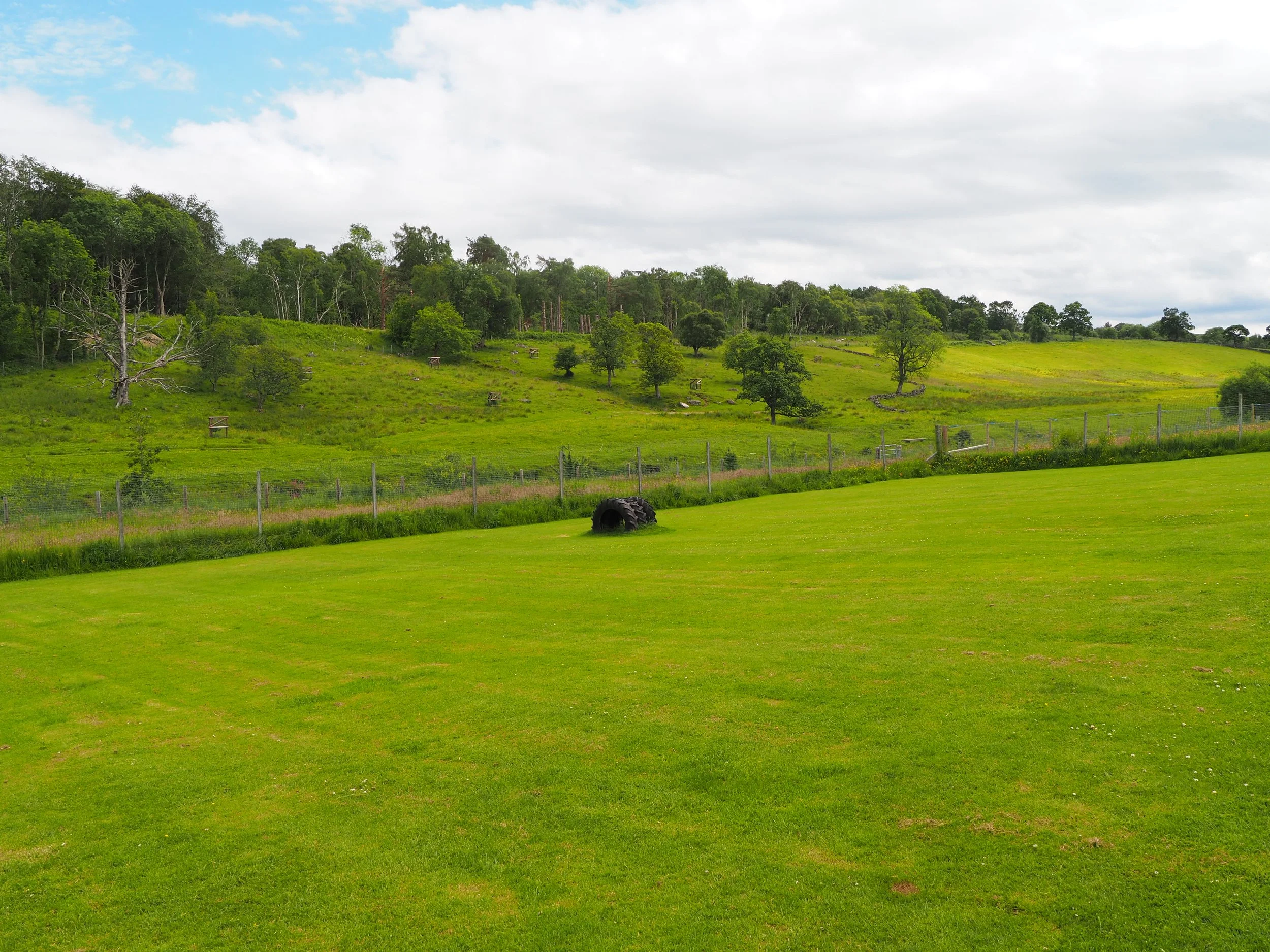 A scenic landscape of a green field with scattered trees, rolling hills, and a cloudy sky overhead.