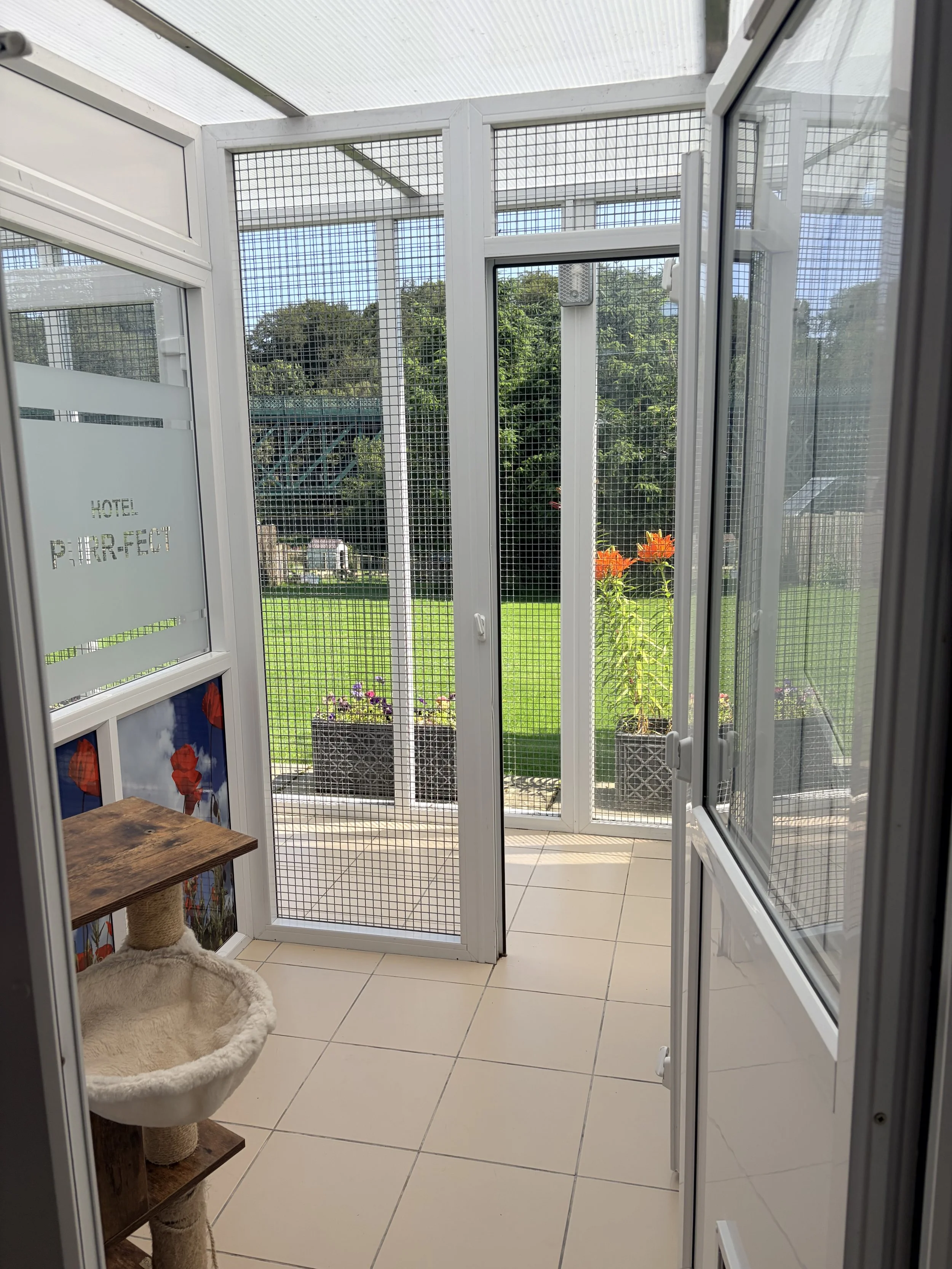 View from inside a screened-in porch showing a small wooden cat tree with a plush bed and scratching post, and a backyard with green grass, flowers, trees, and a building in the distance.