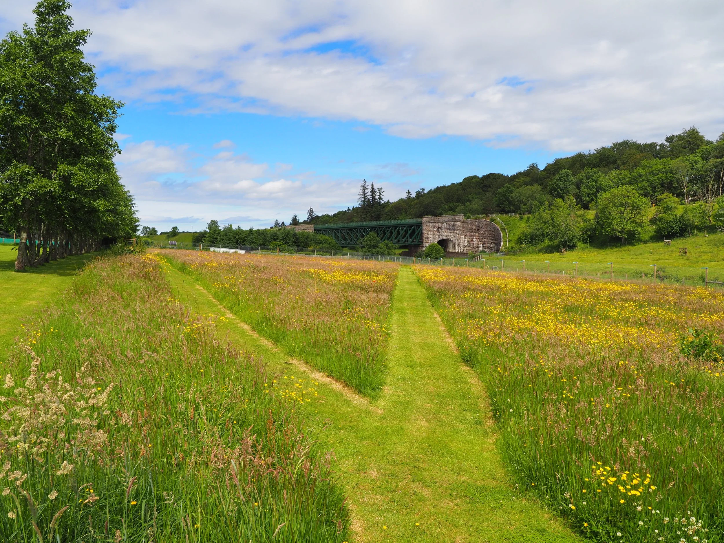 A scenic landscape with a grassy field dotted with yellow flowers, lined by green trees on the left, a stone and green metal bridge crossing over a small creek in the middle background, and a hillside with lush green trees under a partly cloudy sky.