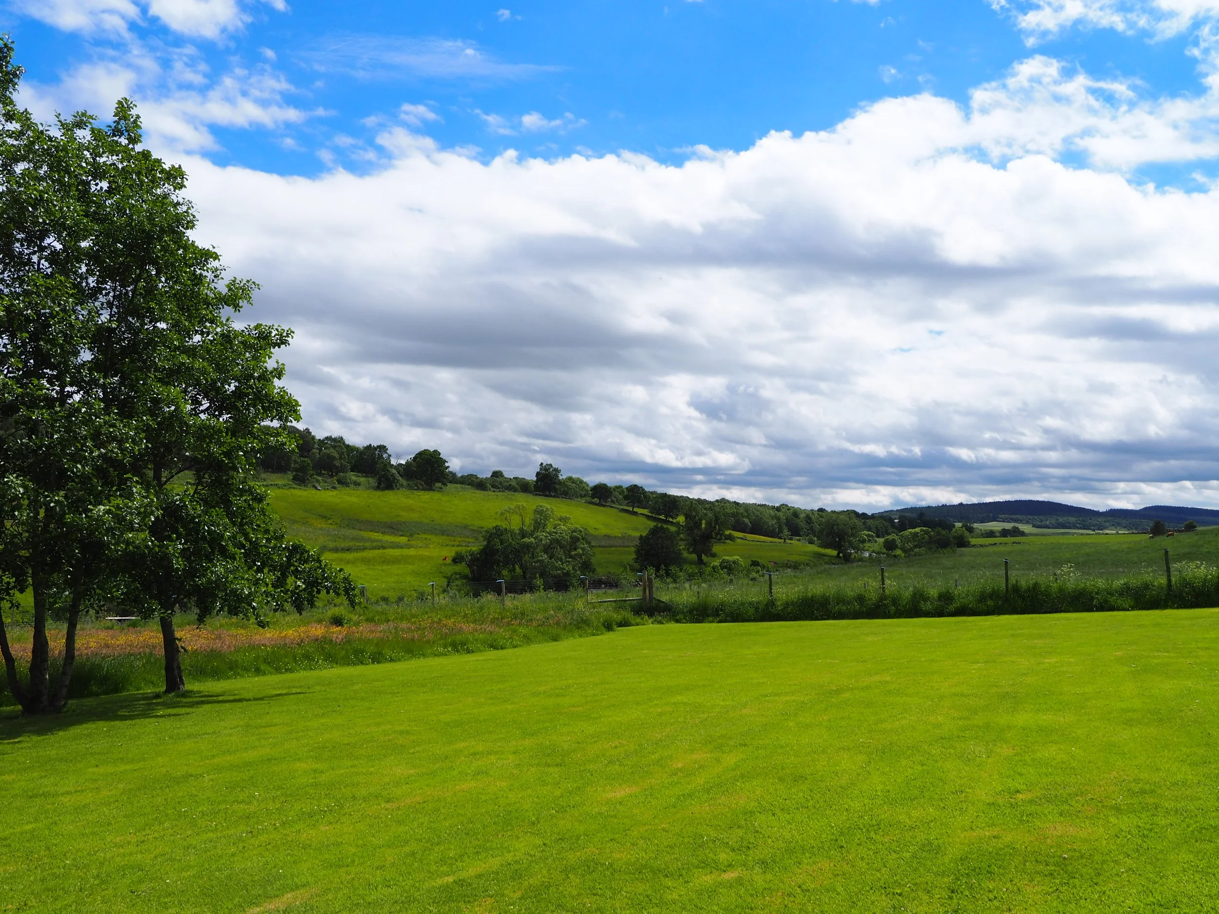 A lush green landscape with trees, rolling hills, a cloudy sky, and a fenced field in the distance.