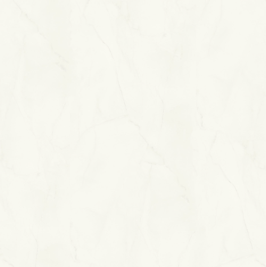 india white .png