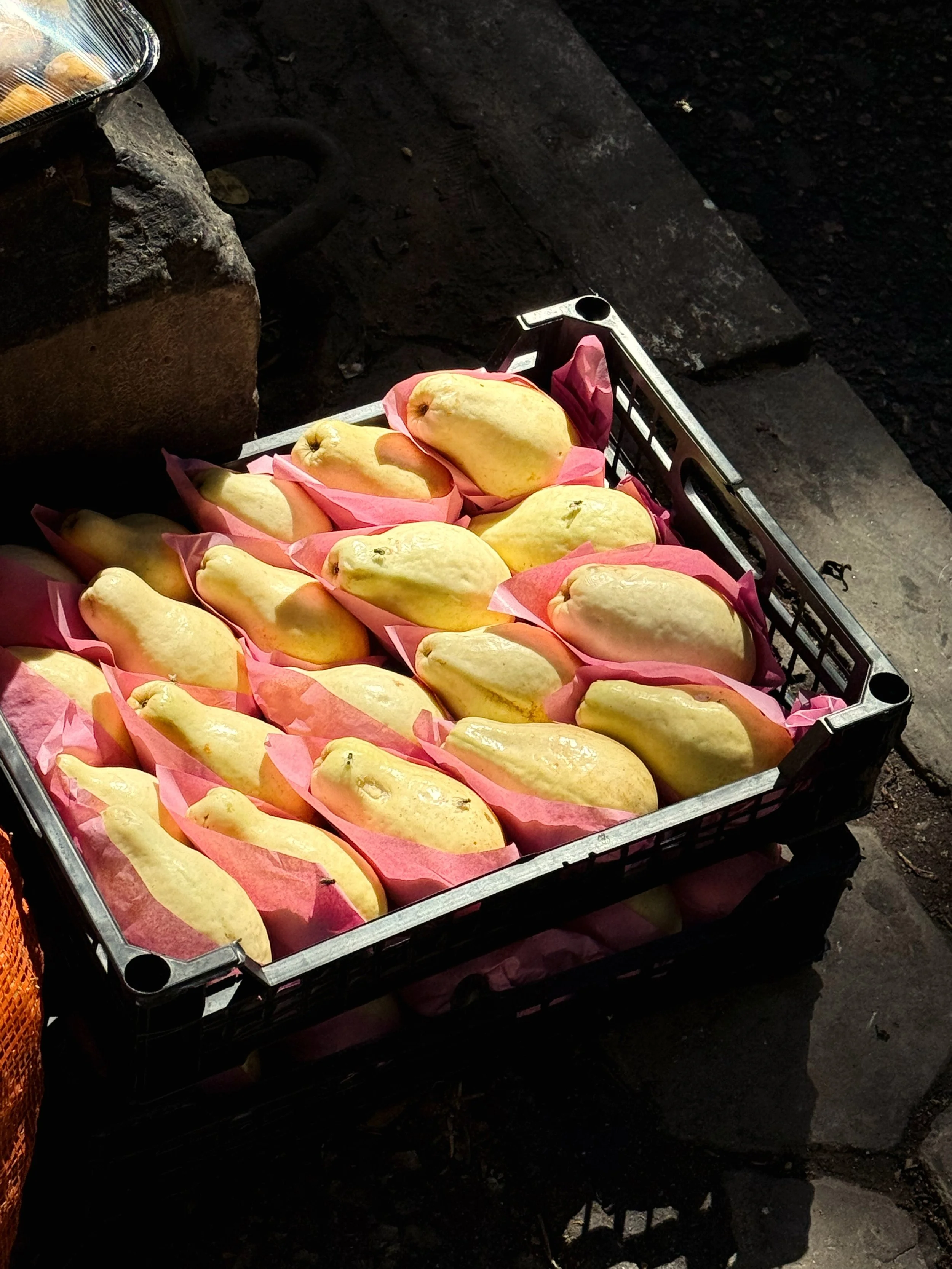 Cairo fruit vendor.JPG