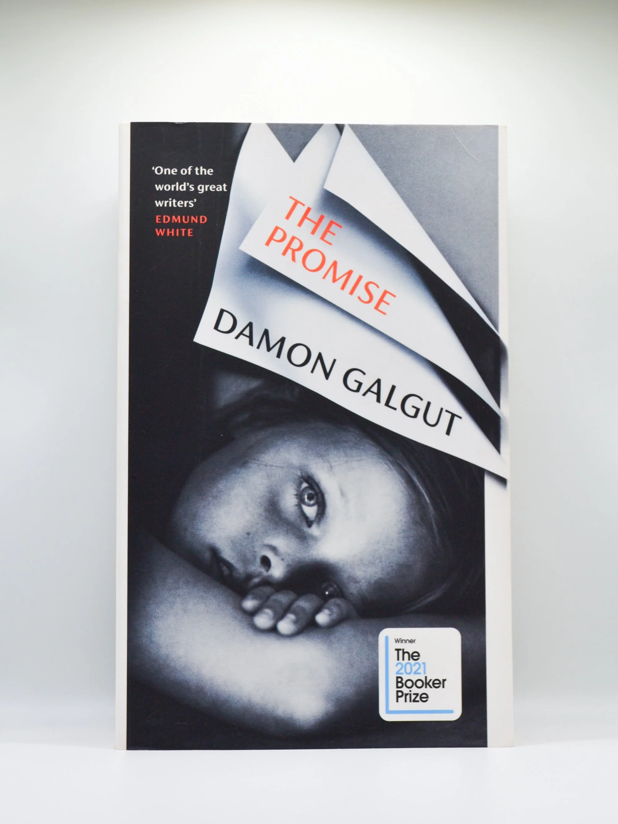The Promise by Damon Galgut