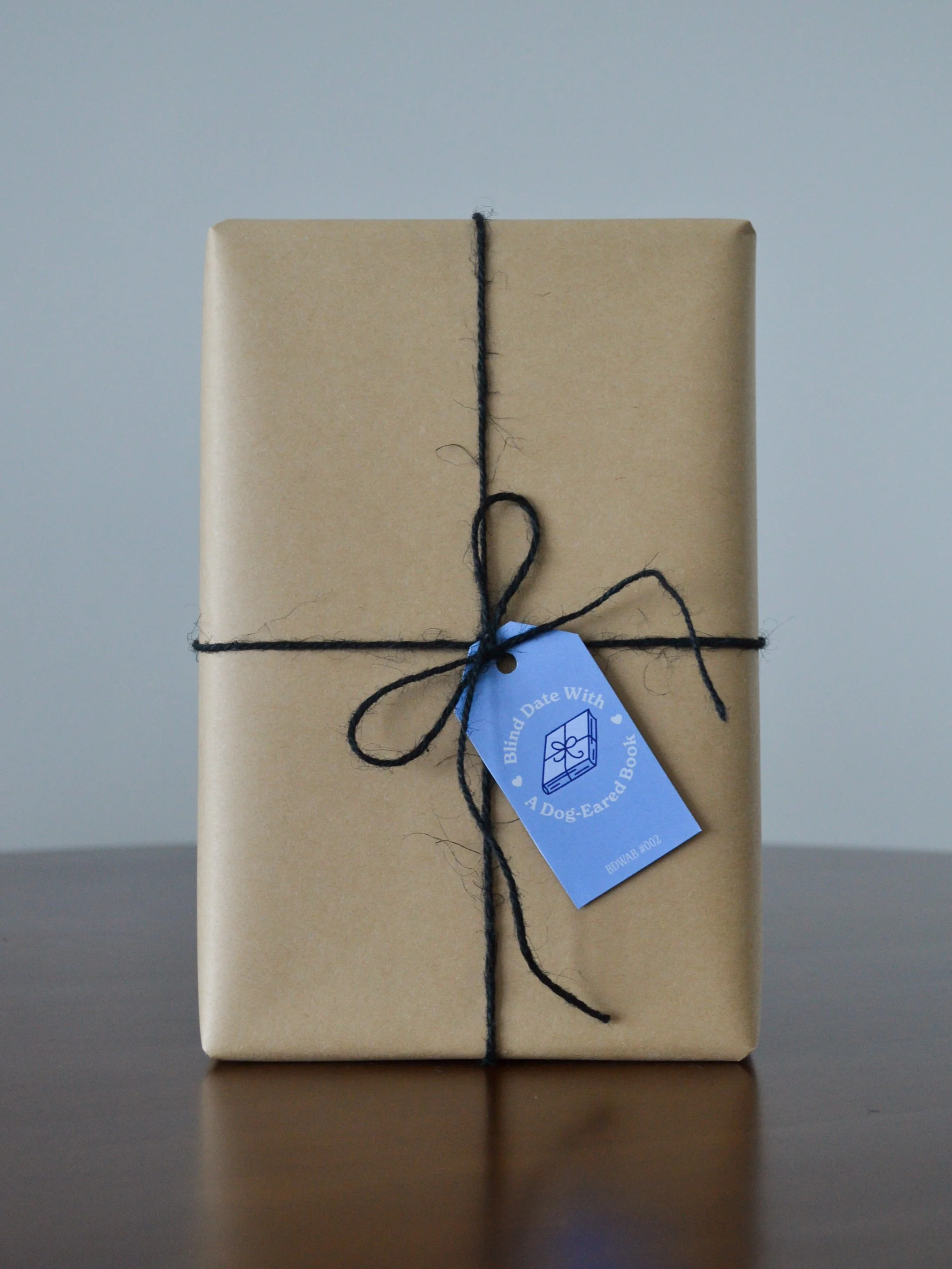 Blind Date With a Dog-Eared Book #002: Historical Fiction