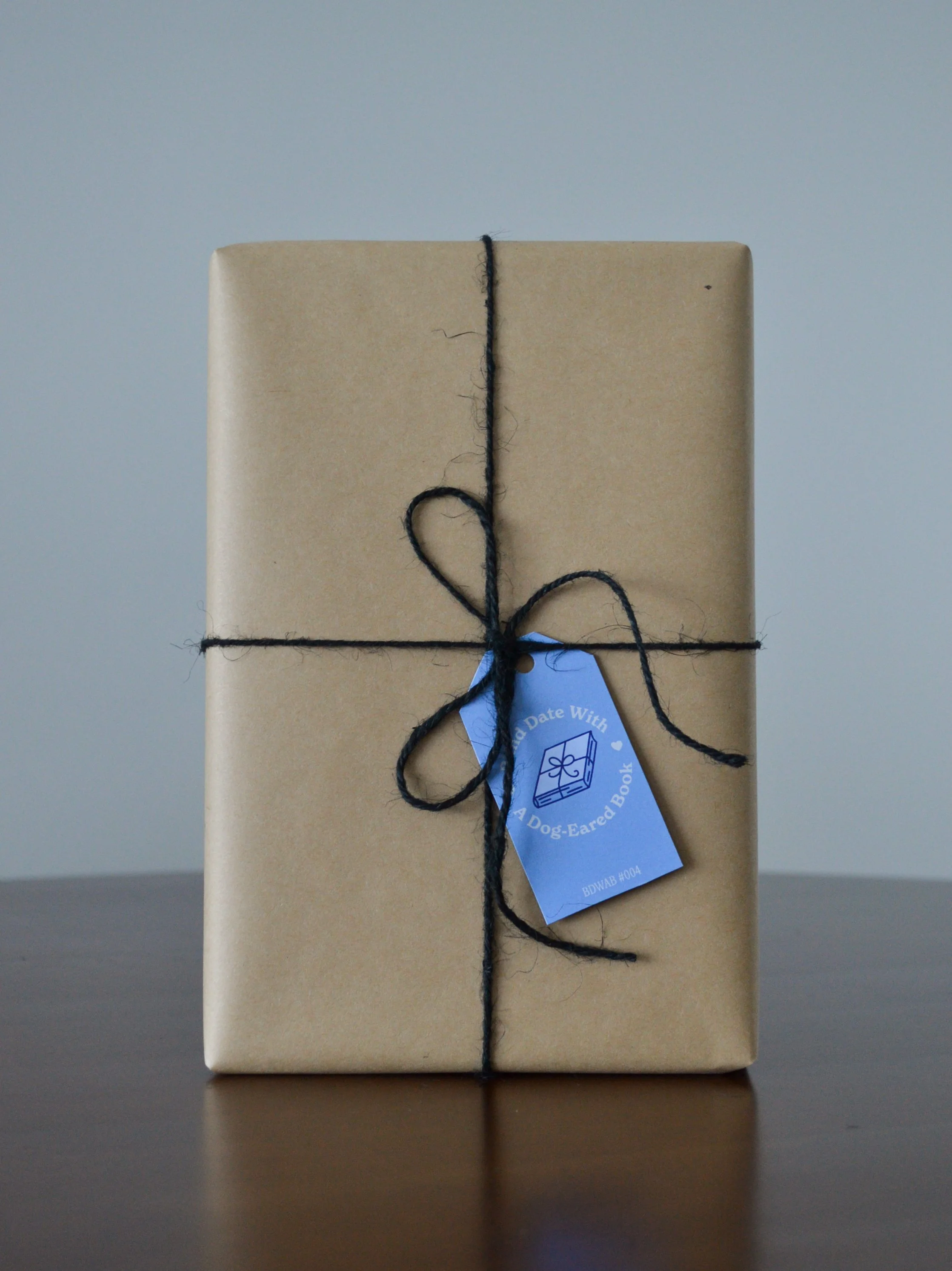Blind Date With a Dog-Eared Book #004: Literary Fiction