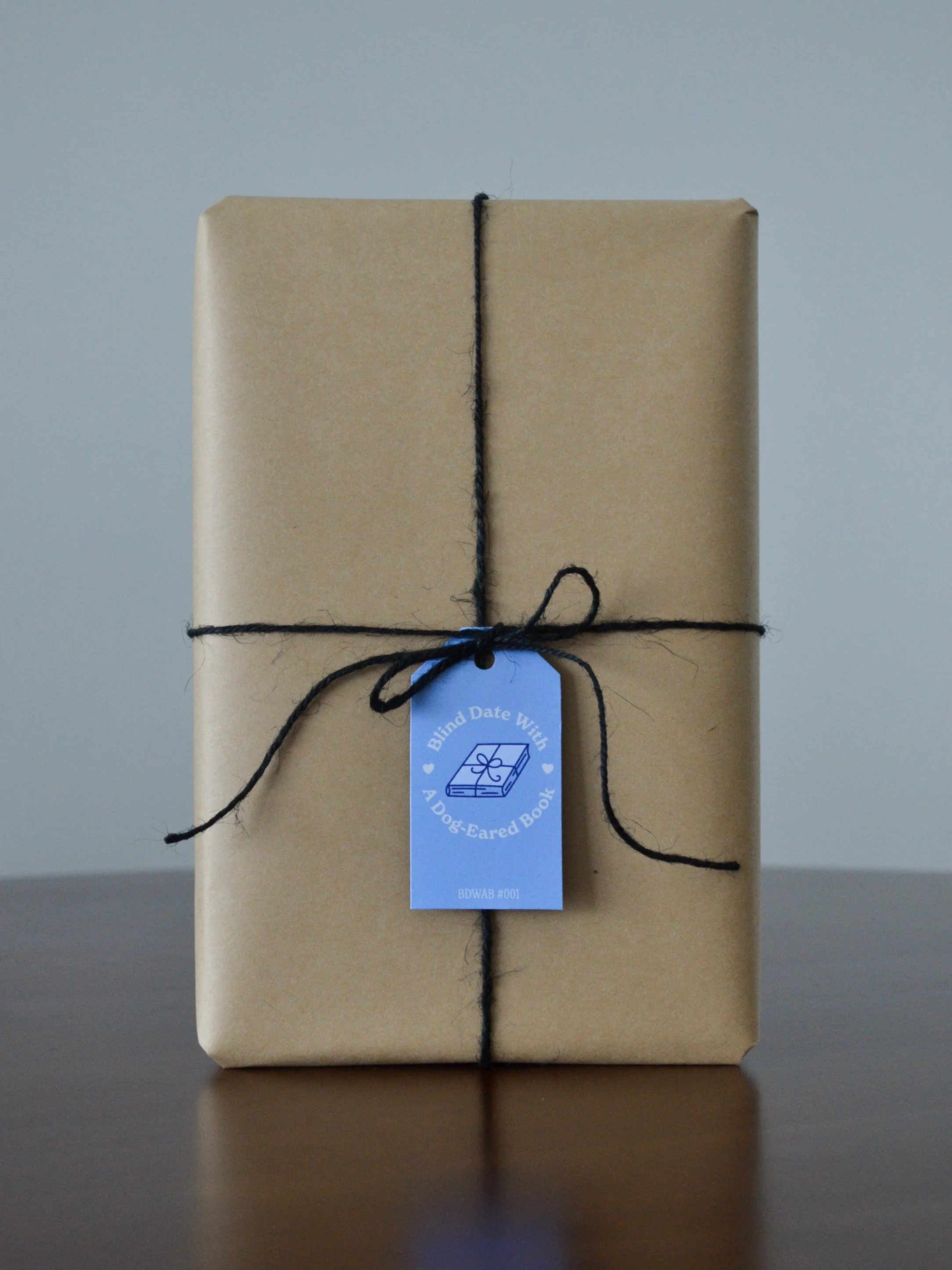 Blind Date With a Dog-Eared Book #001: Historical Fiction