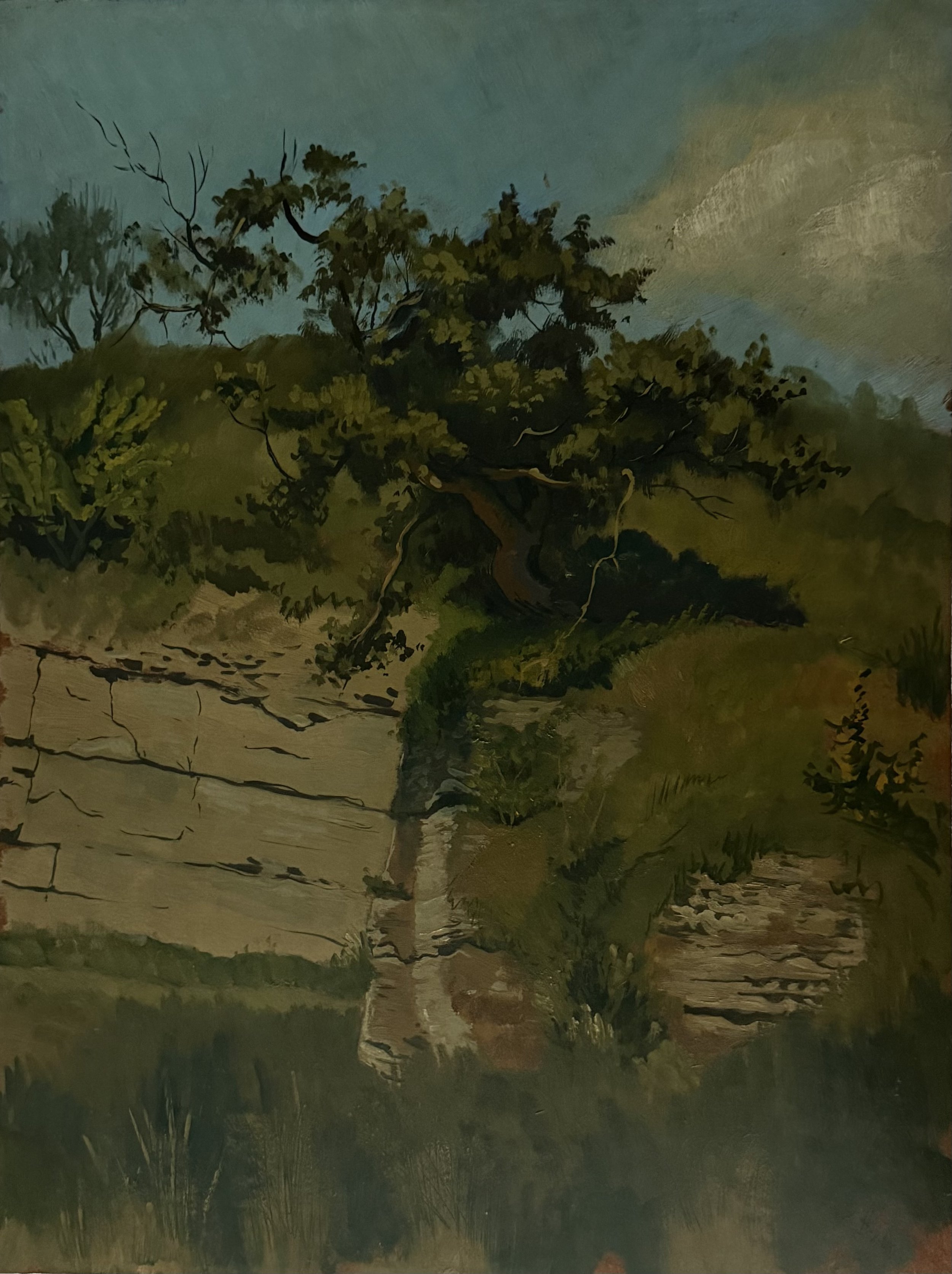 Stony bluff #1. Oil on board (24"x18")
1964
