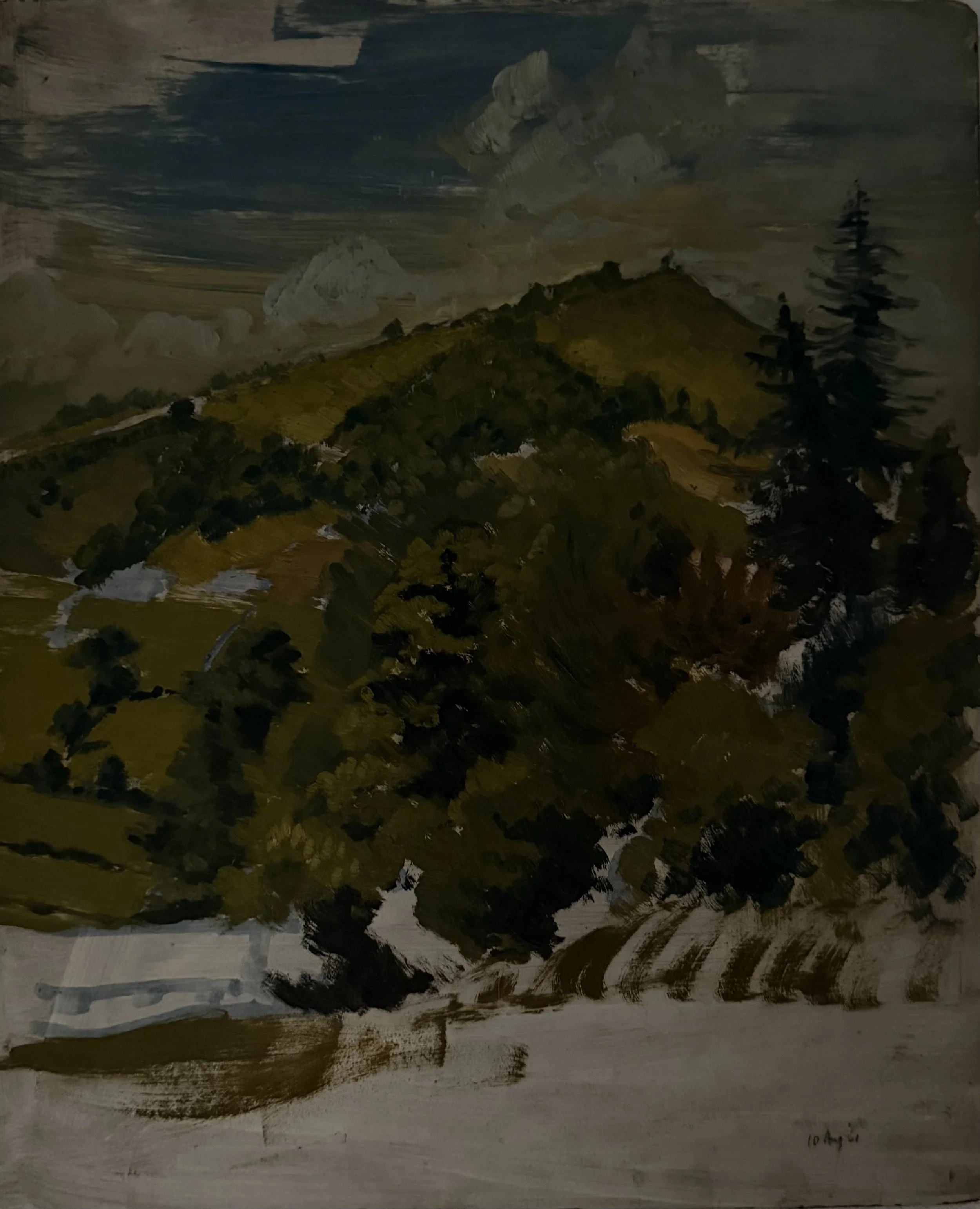 Wooded hillside. Oil on board (17"x14")
10th August, 1961
