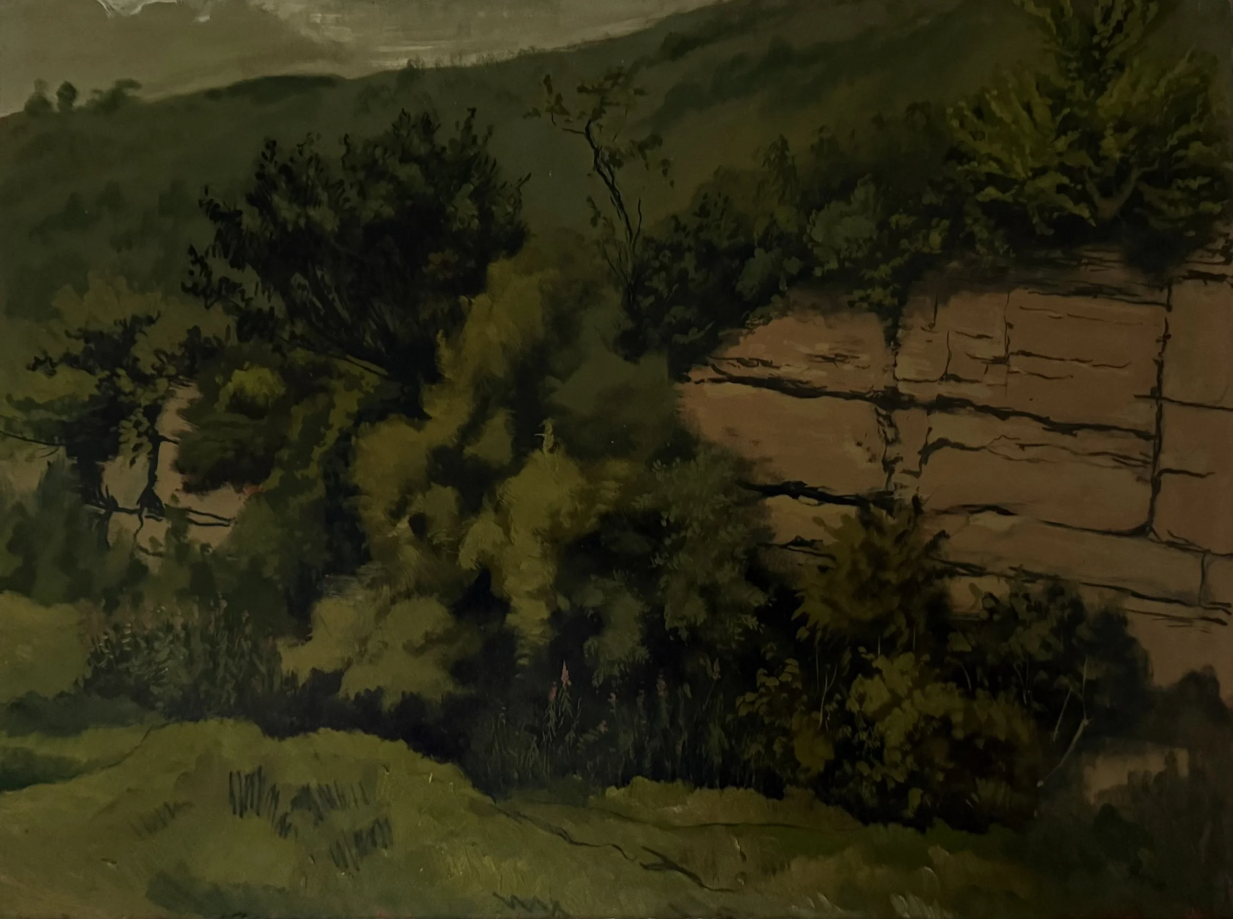 Stony bluff #2. Oil on board (24"x18")
1964