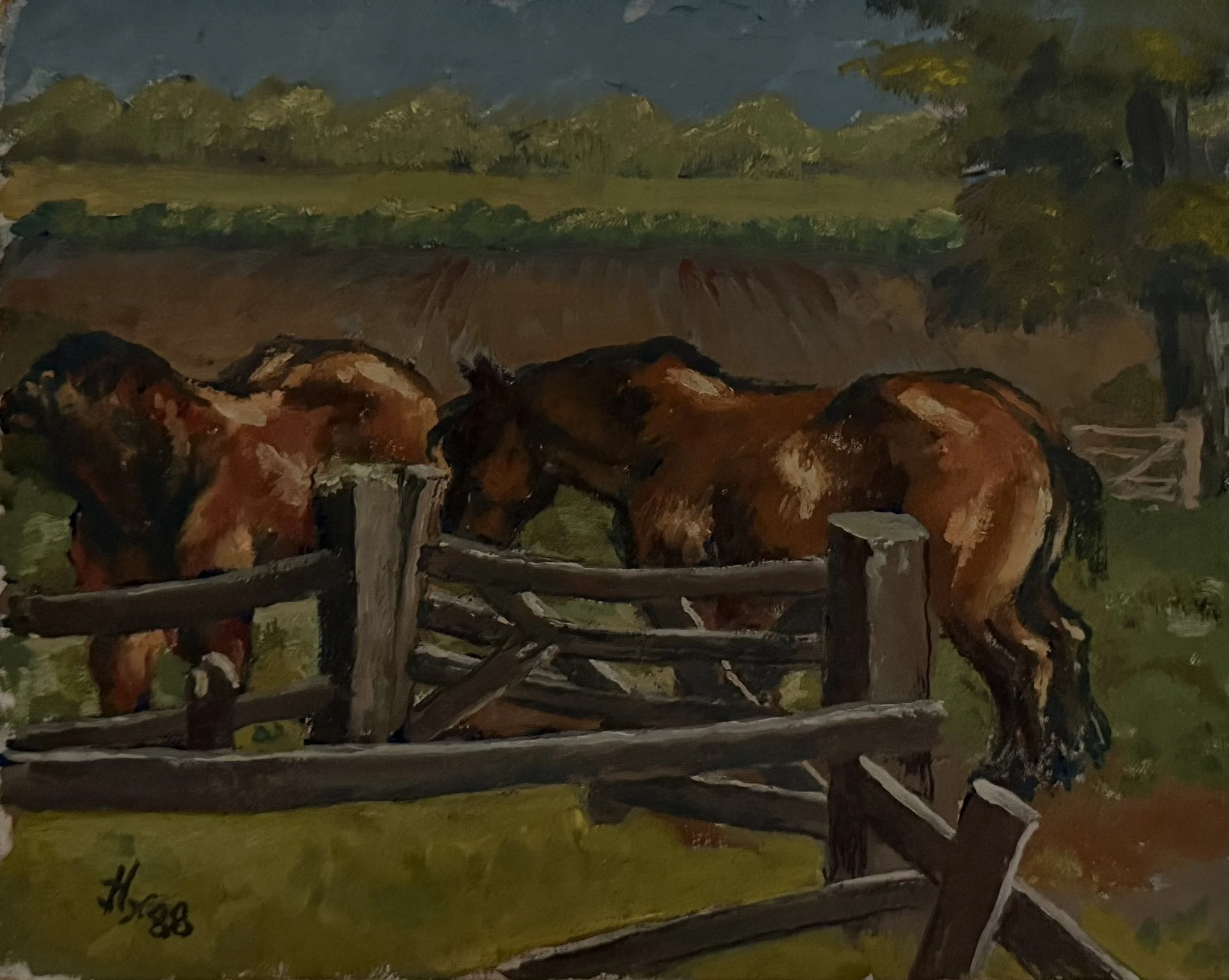 Horses by the fence. oil on board (11.25"x9.75")
Dedicated to the artists brother: "to Jack 9 May 1999 from Harry"
1988