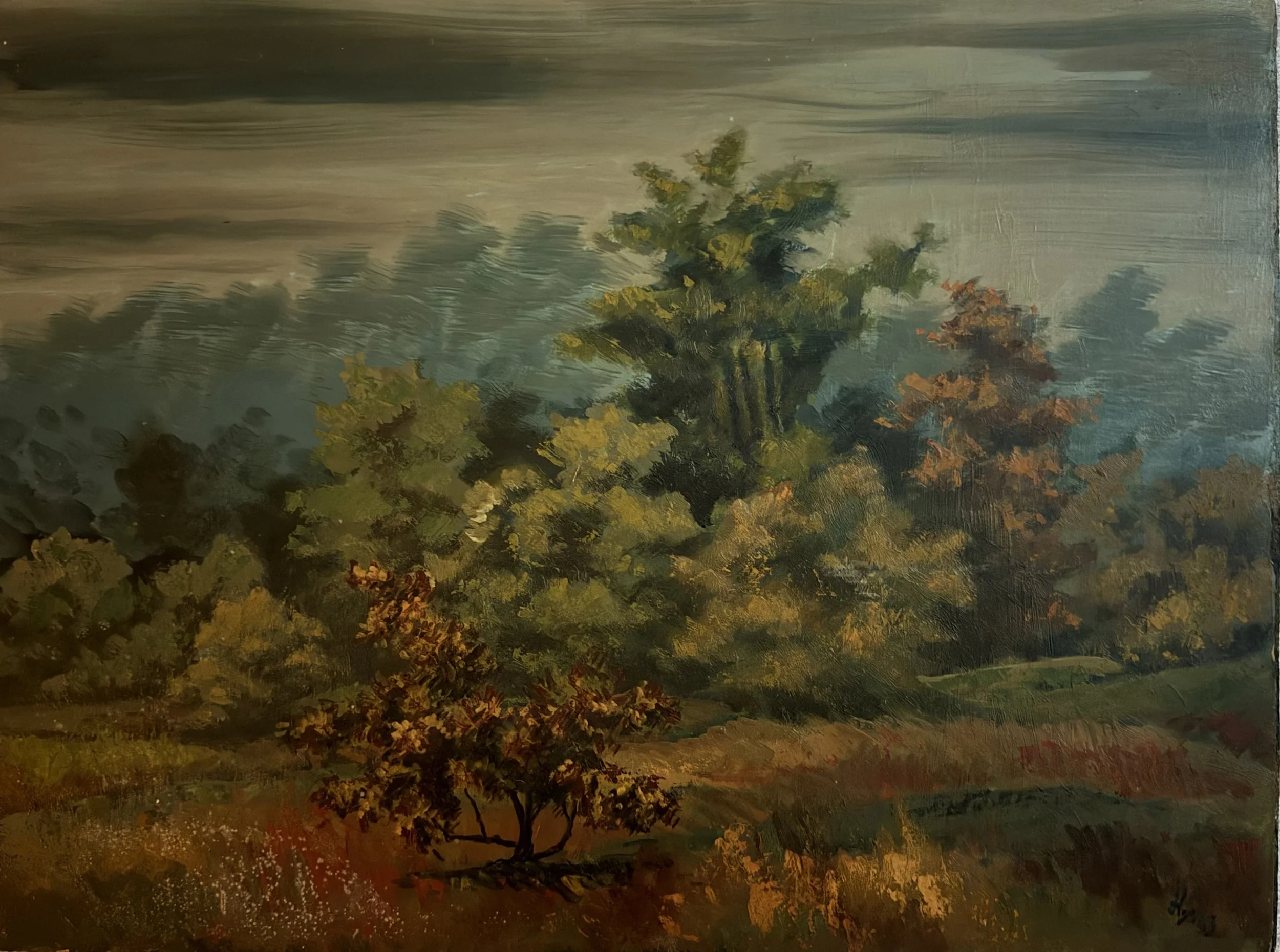 Rural landscape. Oil on board (24"x18")
1963
