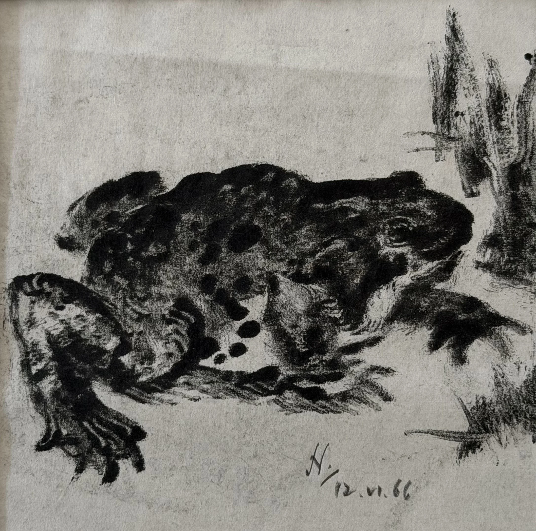 Frog. Charcoal on paper (6"x6"). 12th June 1966