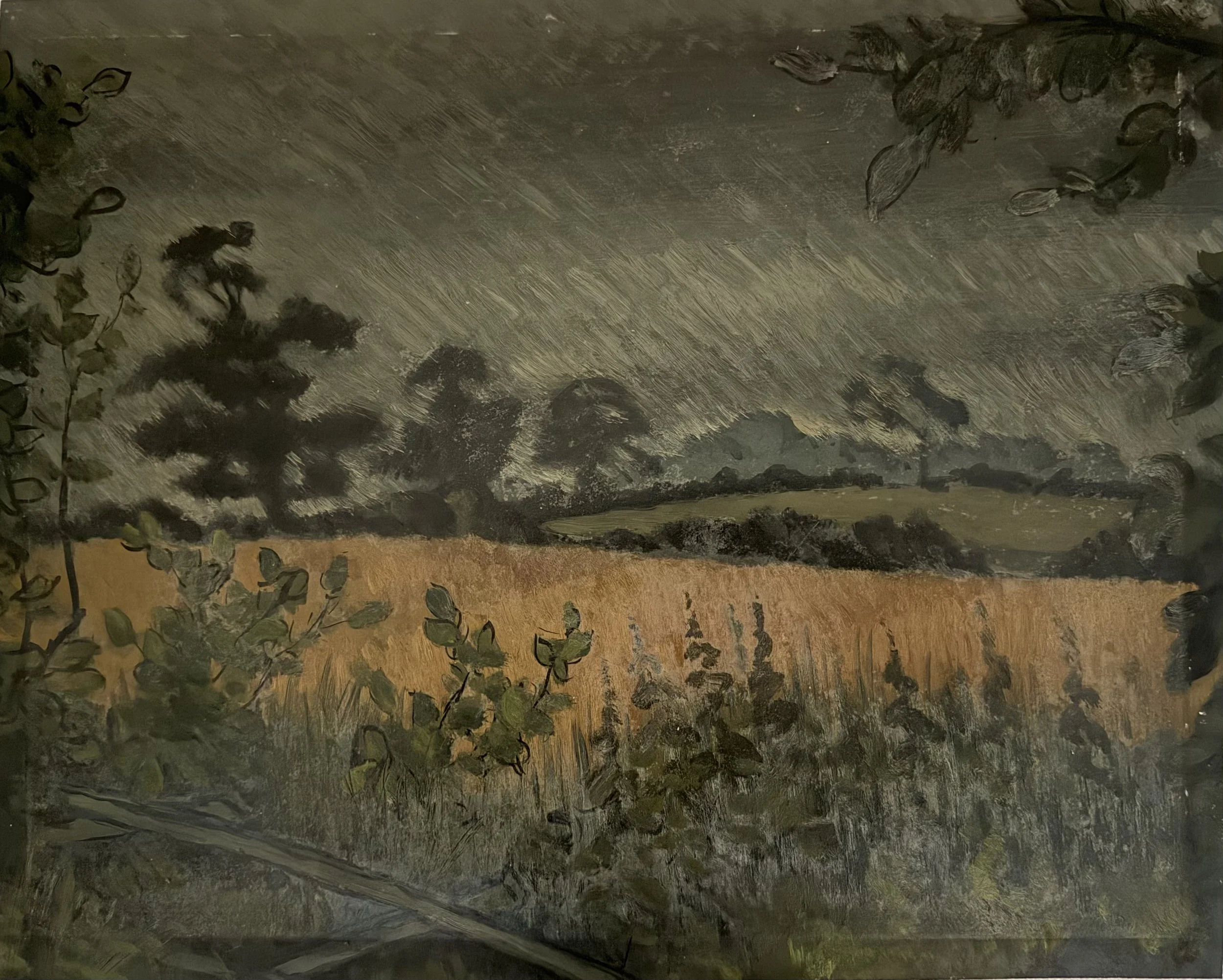 Wheat field. Oil on Board - damaged (19"x15")
Undated