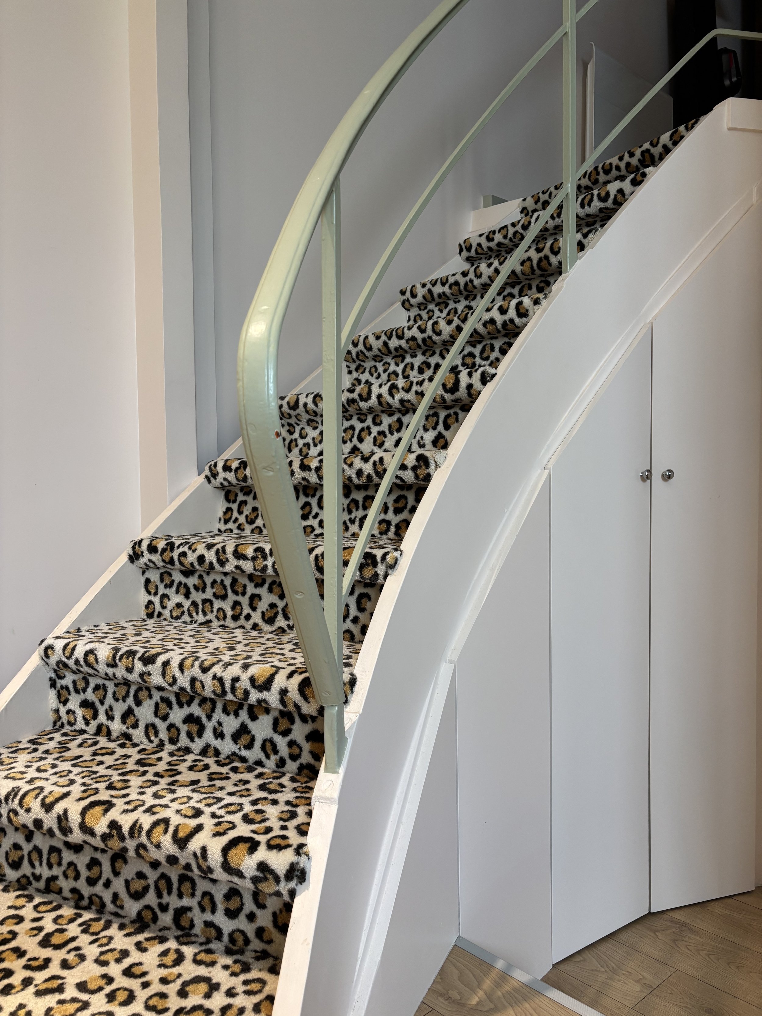 Escalier intérieur avec tapis à motif léopard, rail en métal vert, mur blanc et placards intégré sous l'escalier.