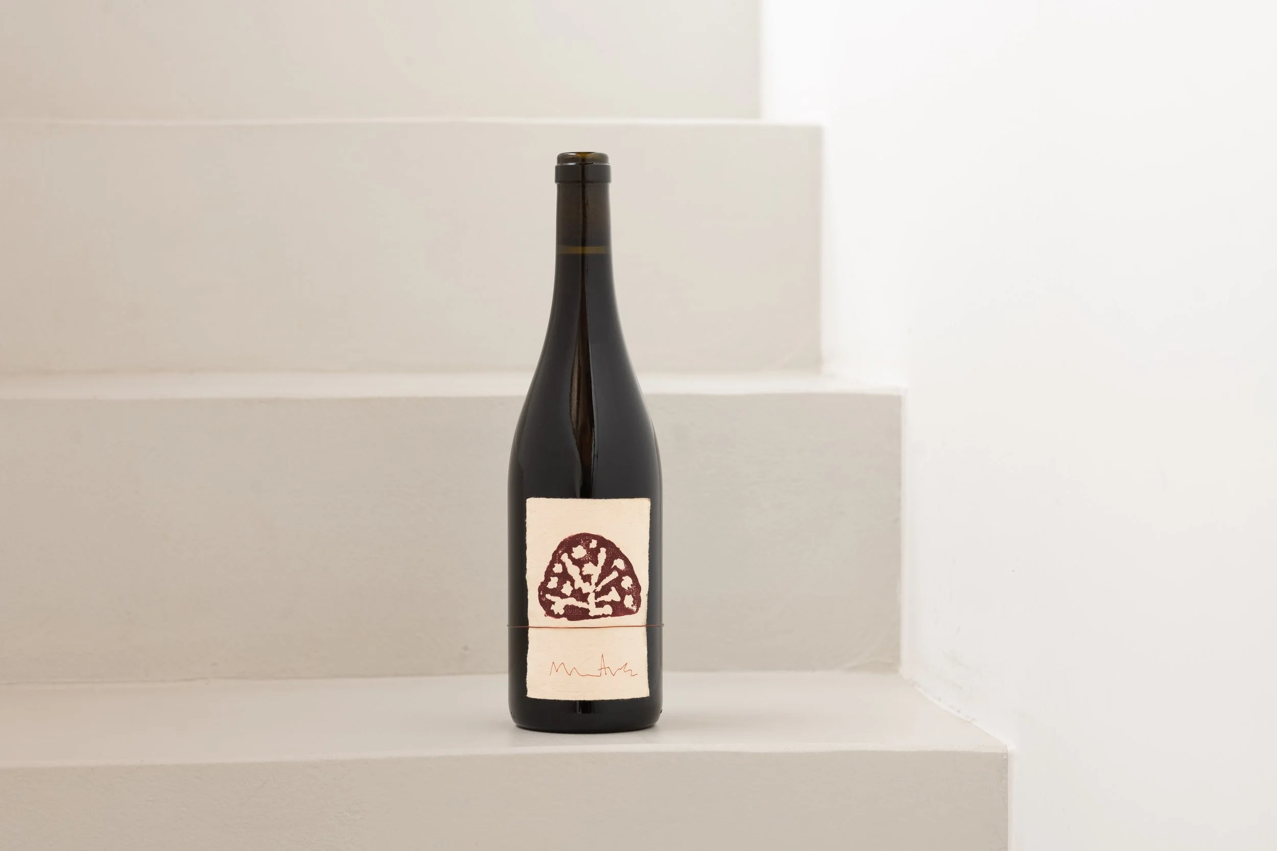 Low-intervention  natural single-vineyard wine Kadarka vintage 2024 Szekszárd Wine Region Hungary loess soil fruity fresh vibrant handcrafted bottle of red wine