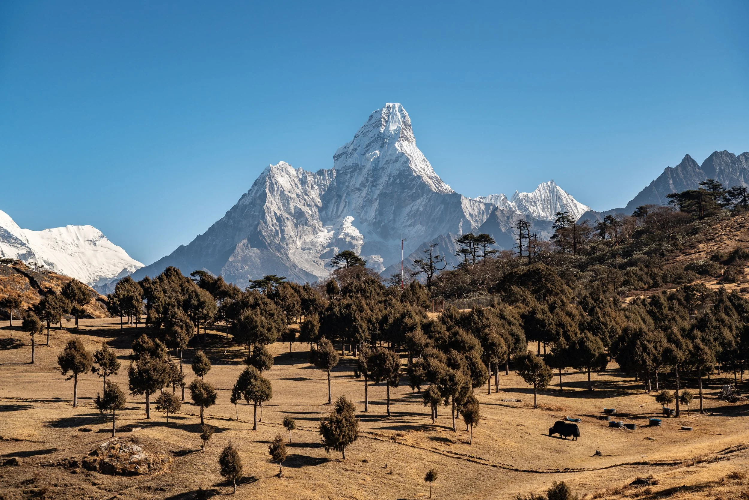 Nepal MJB-16.jpg