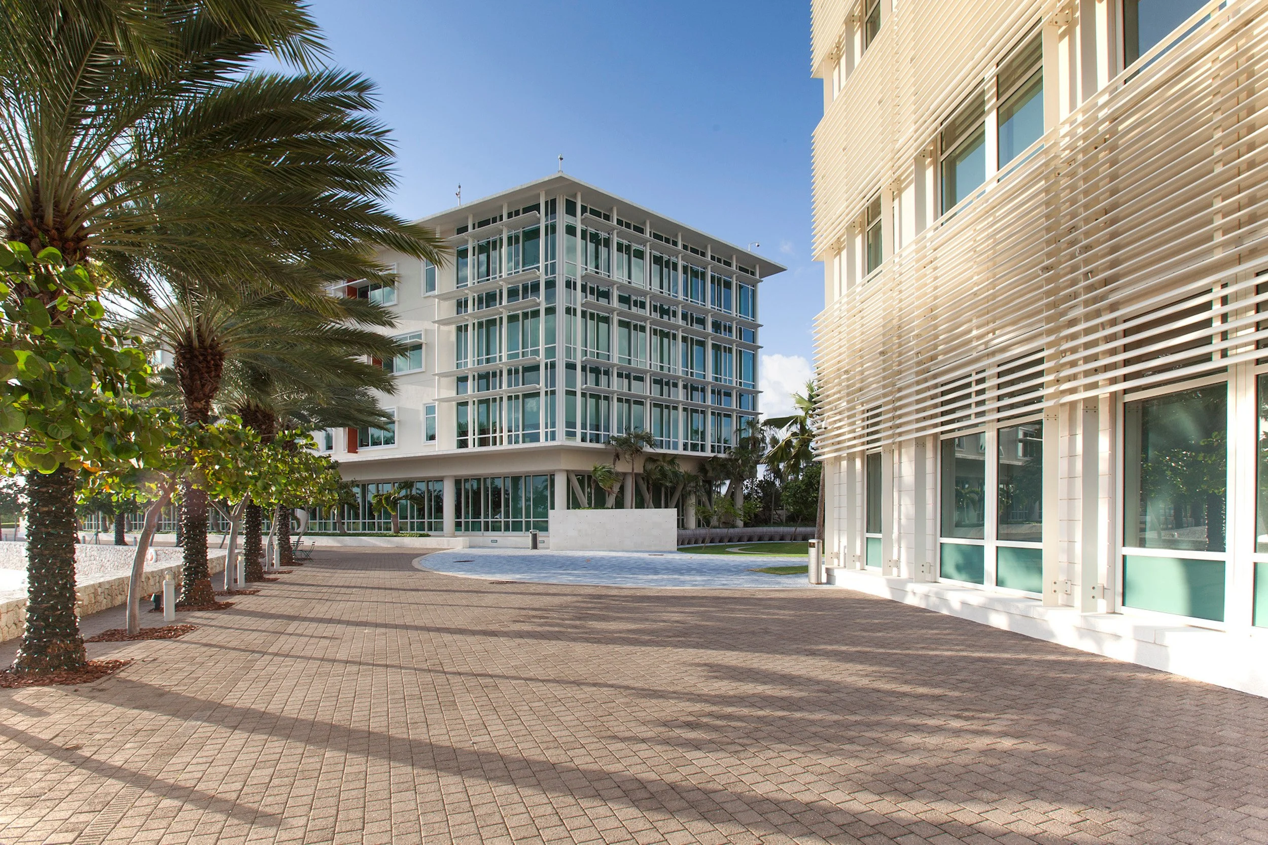 Cayman Images-8.jpg