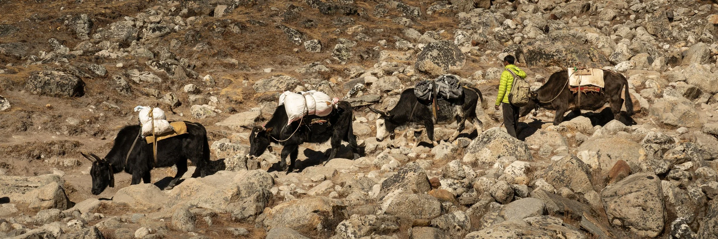 Nepal MJB-76.jpg