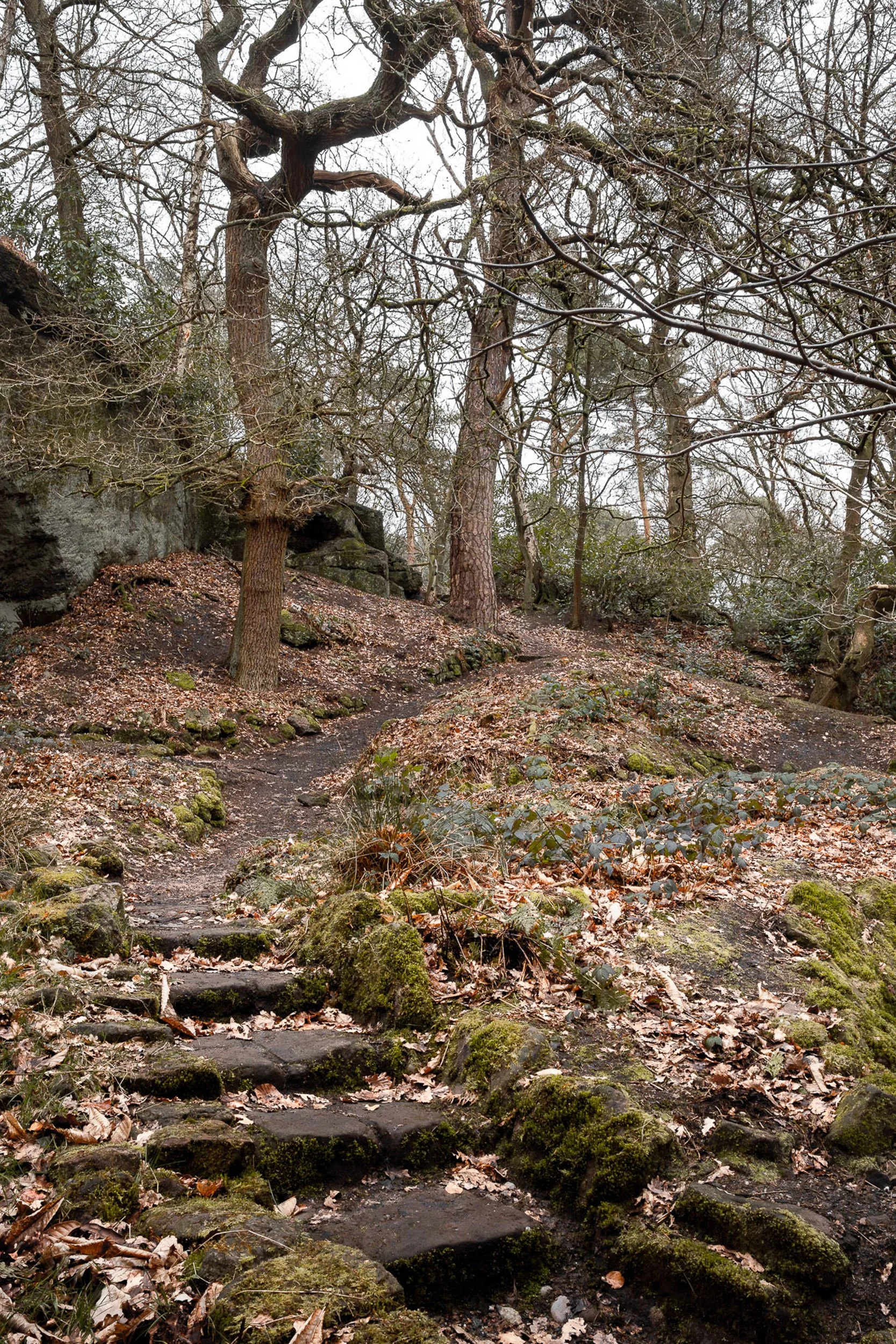 The edge-15.jpg