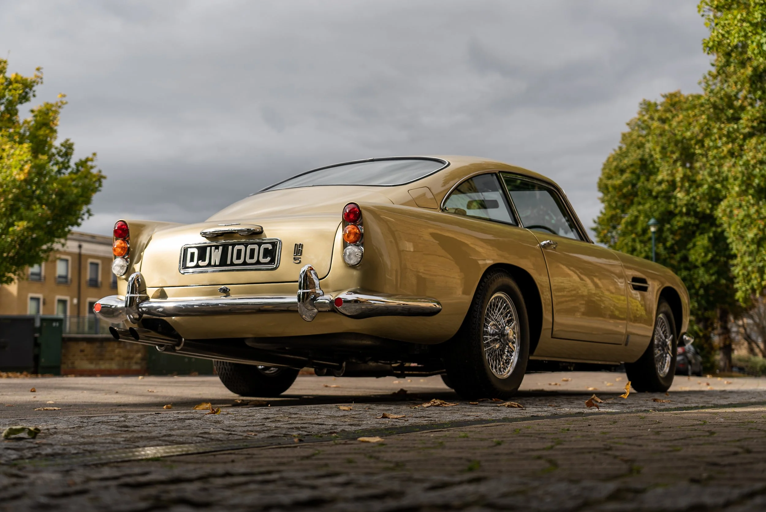 DB5 Autumn.jpg