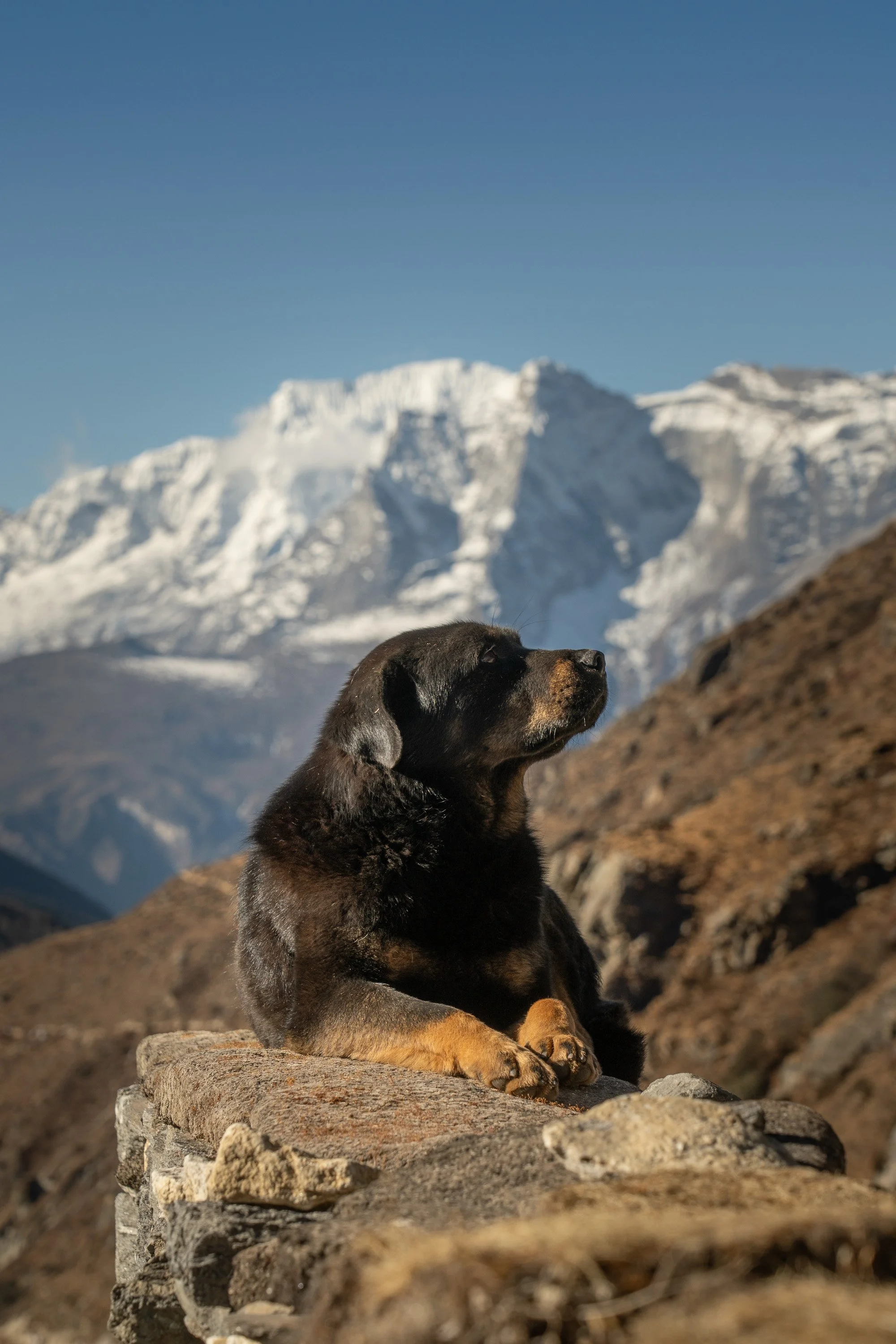 Nepal MJB-87.jpg