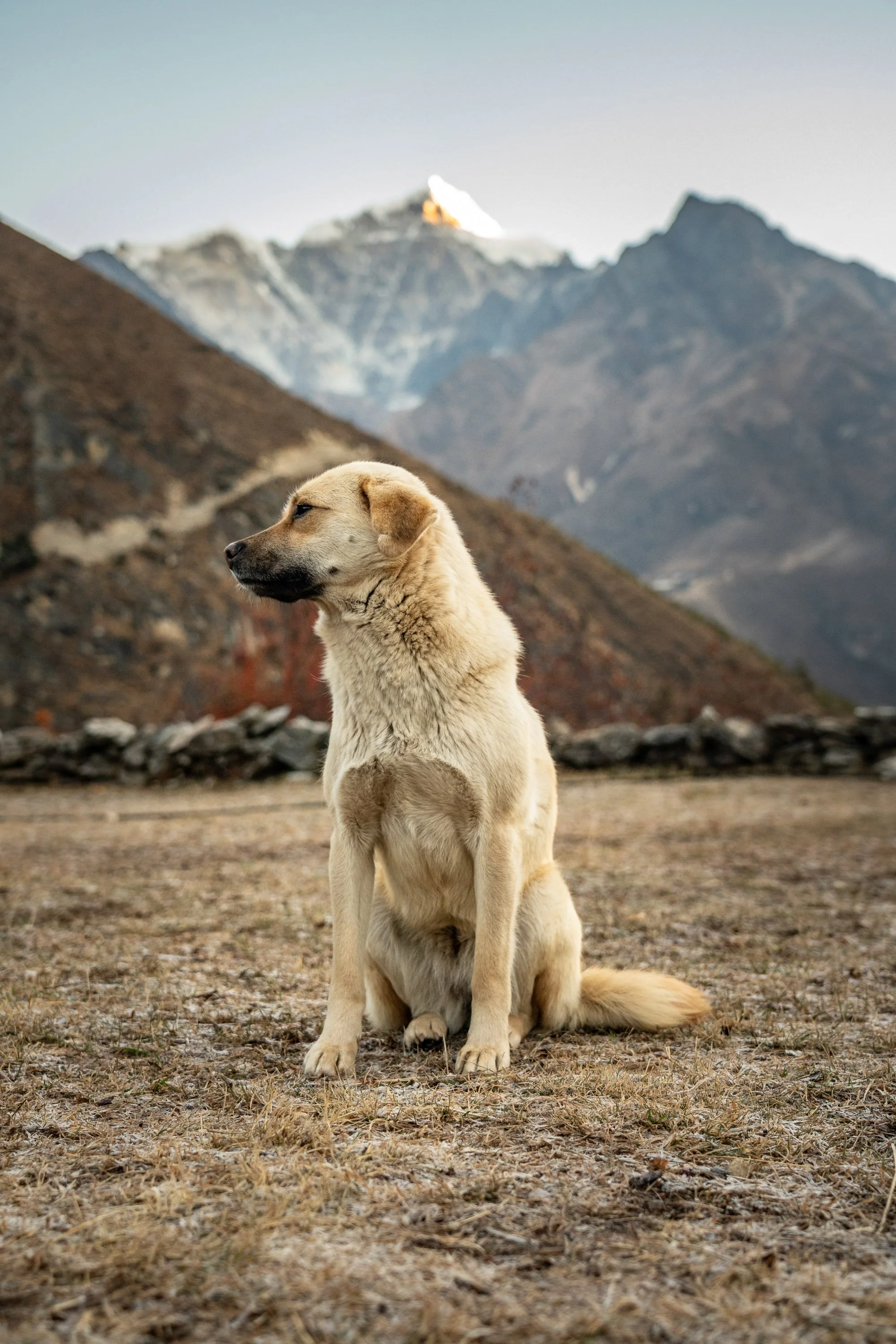 Nepal MJB-26.jpg