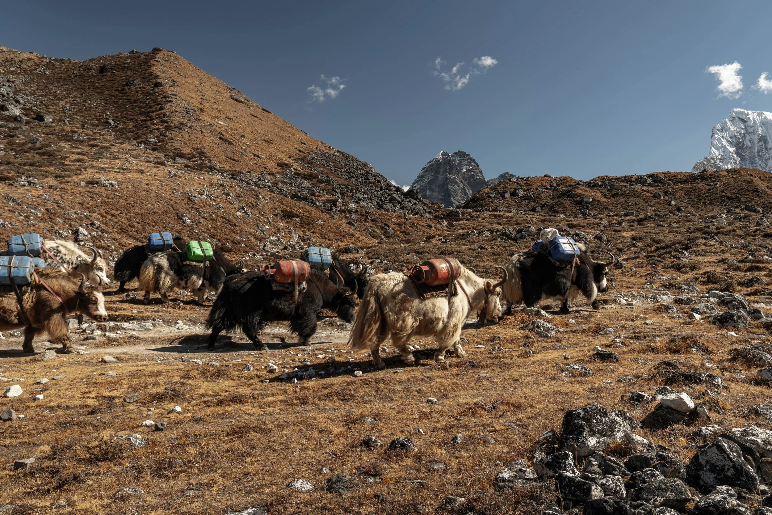 Nepal MJB-38.jpg