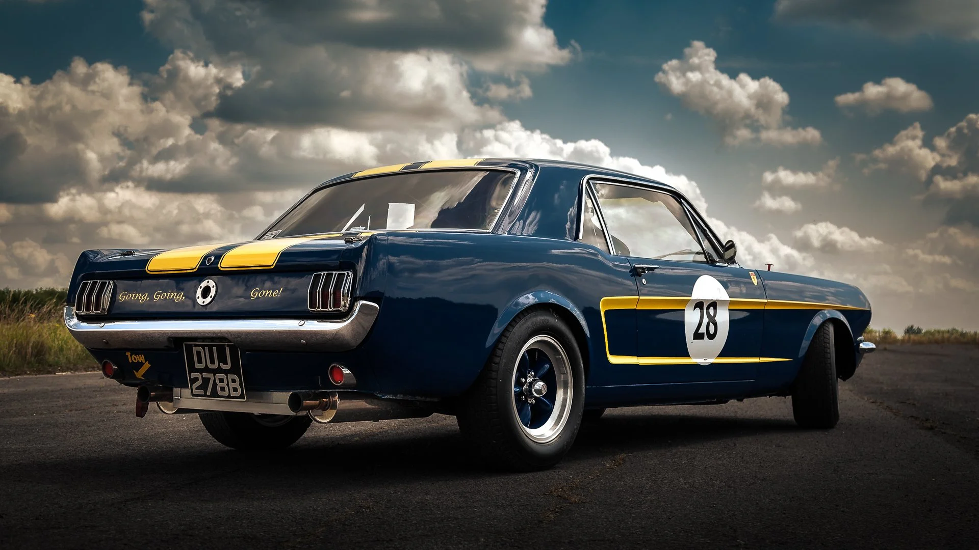 1Mustang.jpg