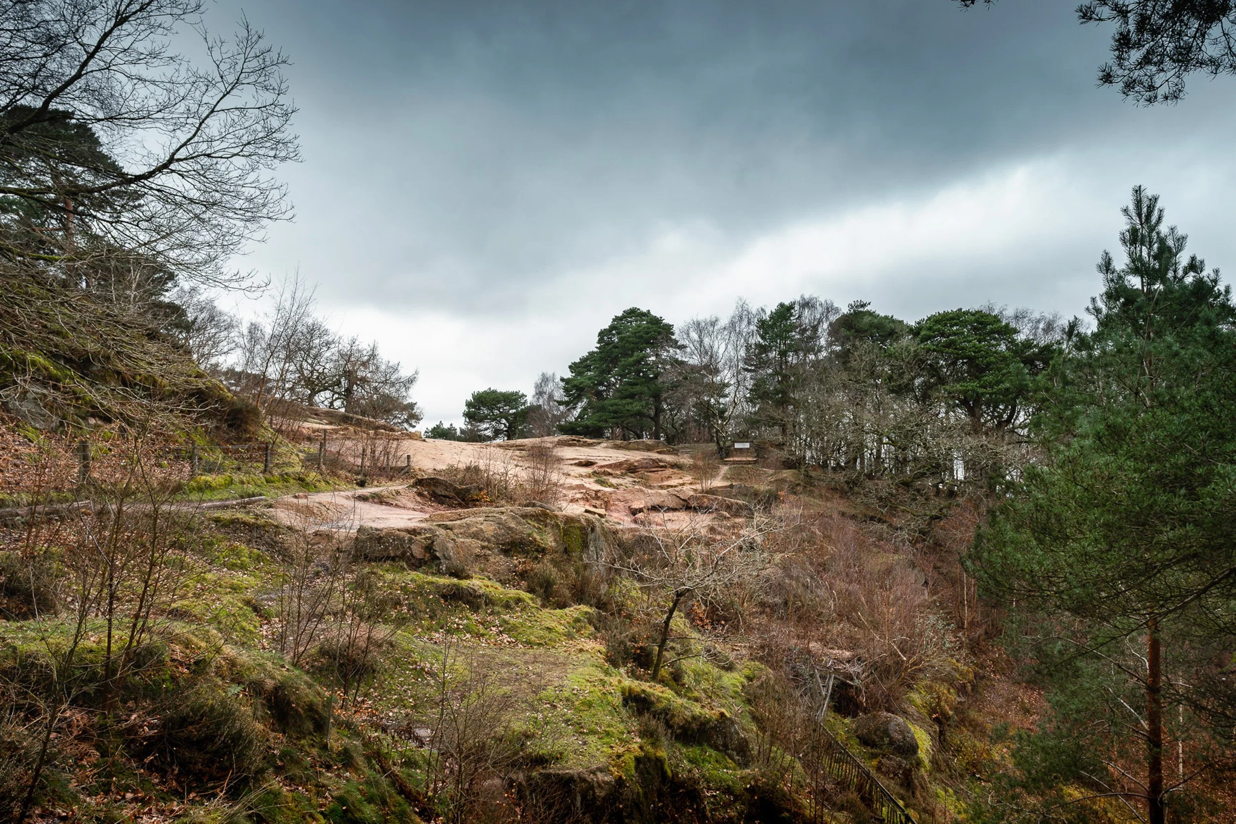 The edge-12.jpg