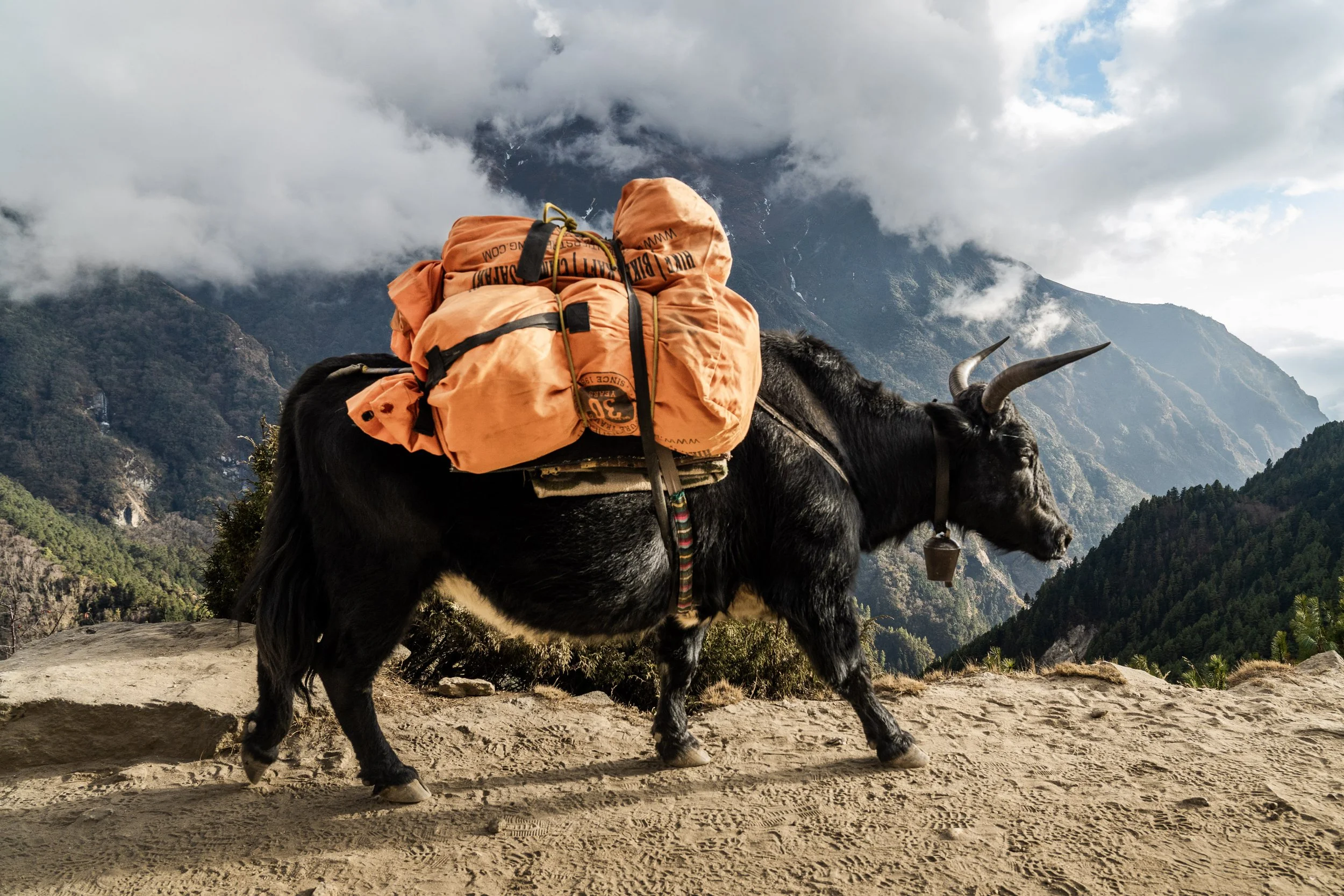 Nepal MJB-91.jpg