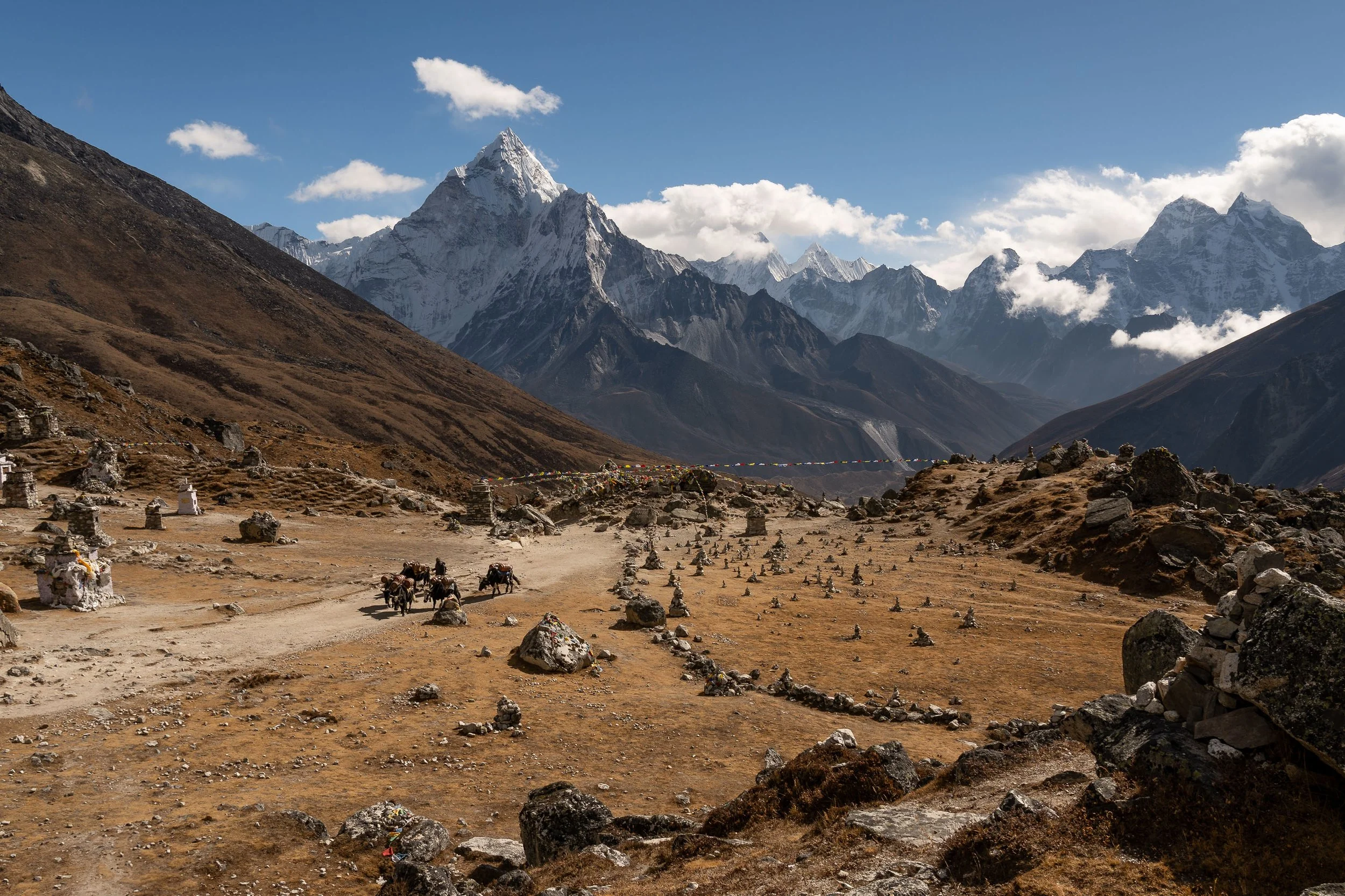 Nepal MJB-80.jpg