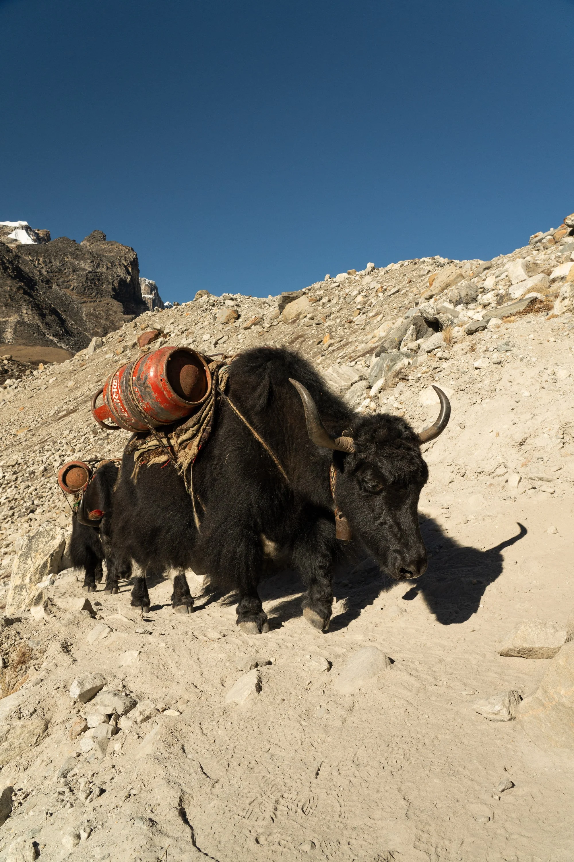 Nepal MJB-75.jpg