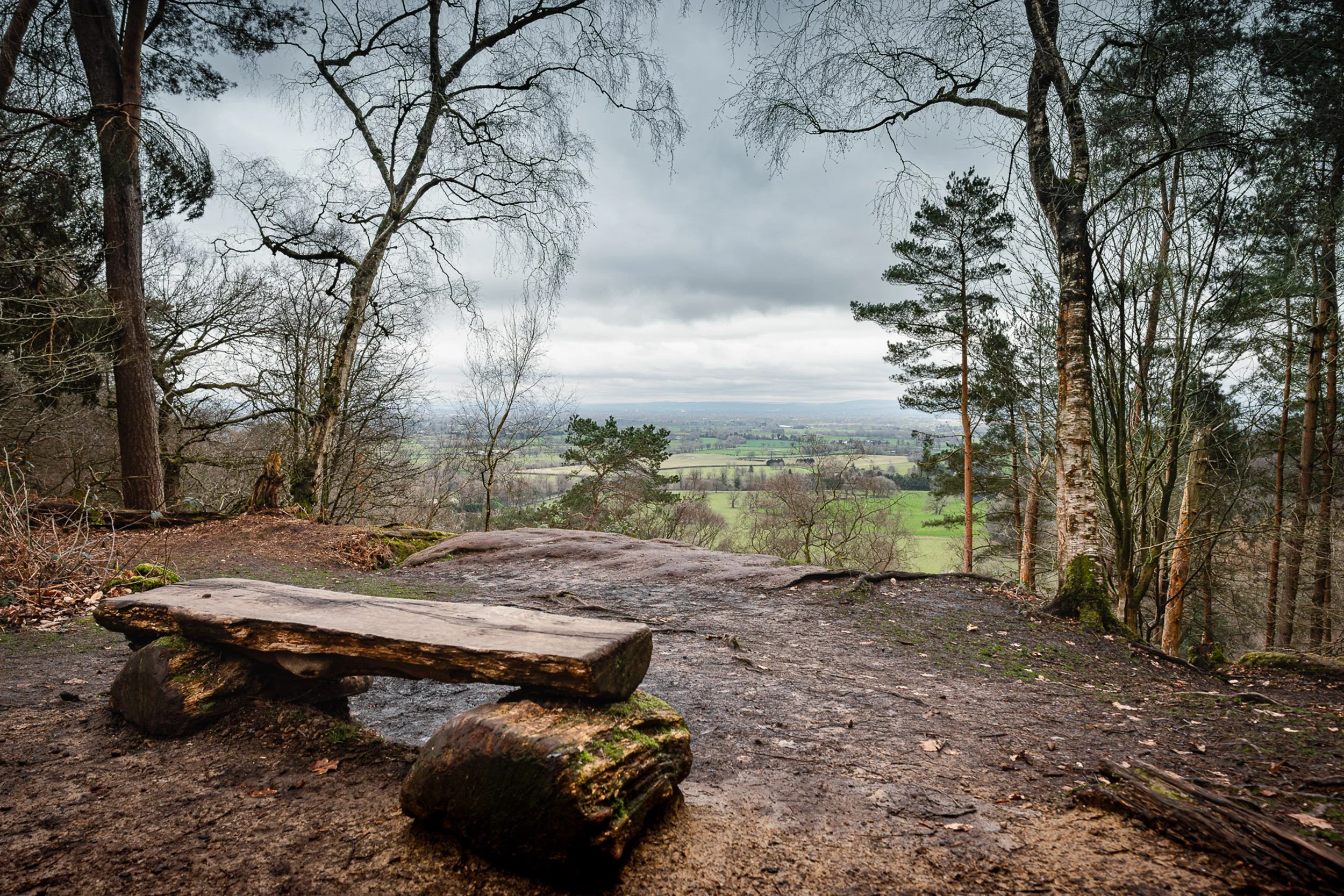 The edge-13.jpg