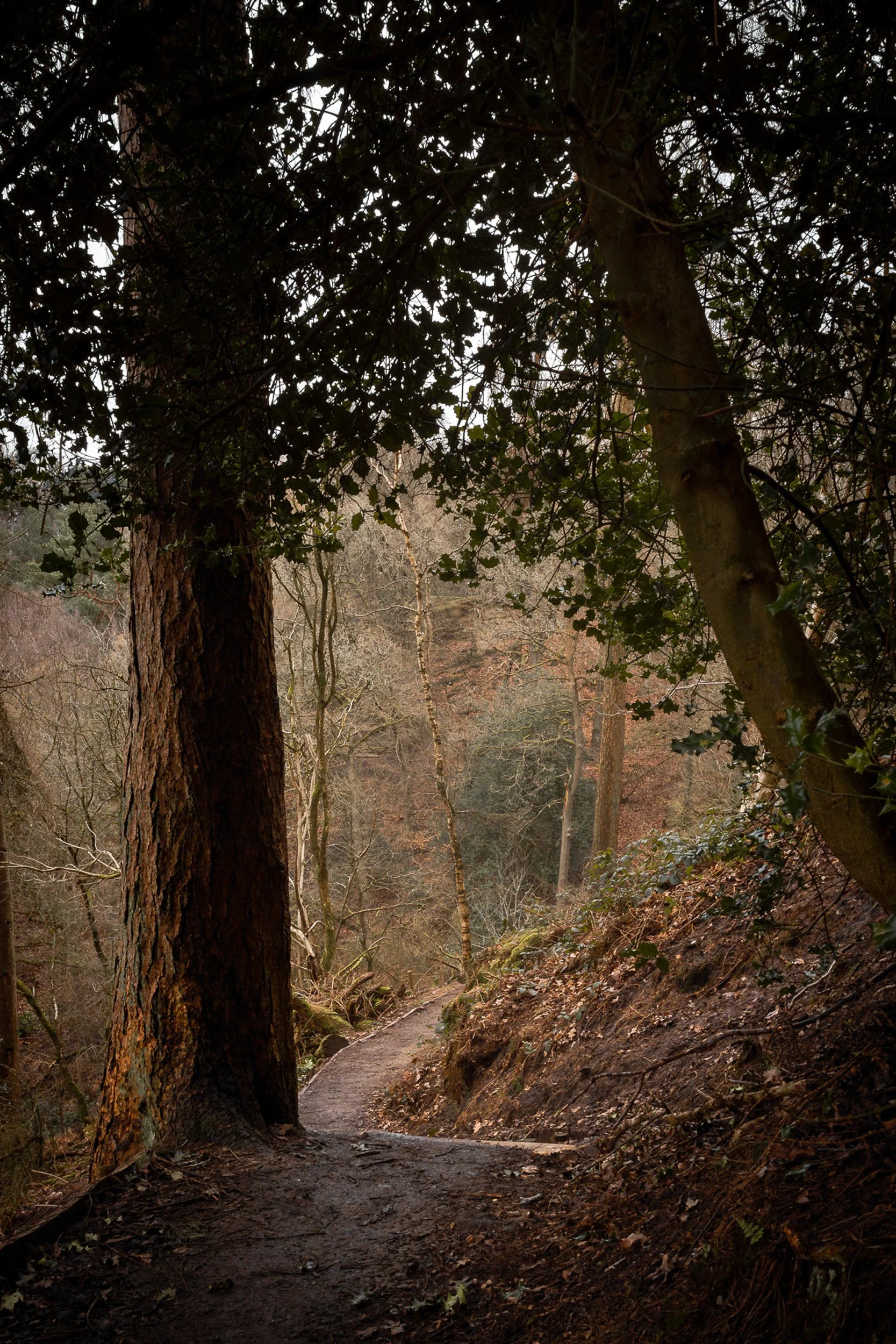 The edge-5.jpg