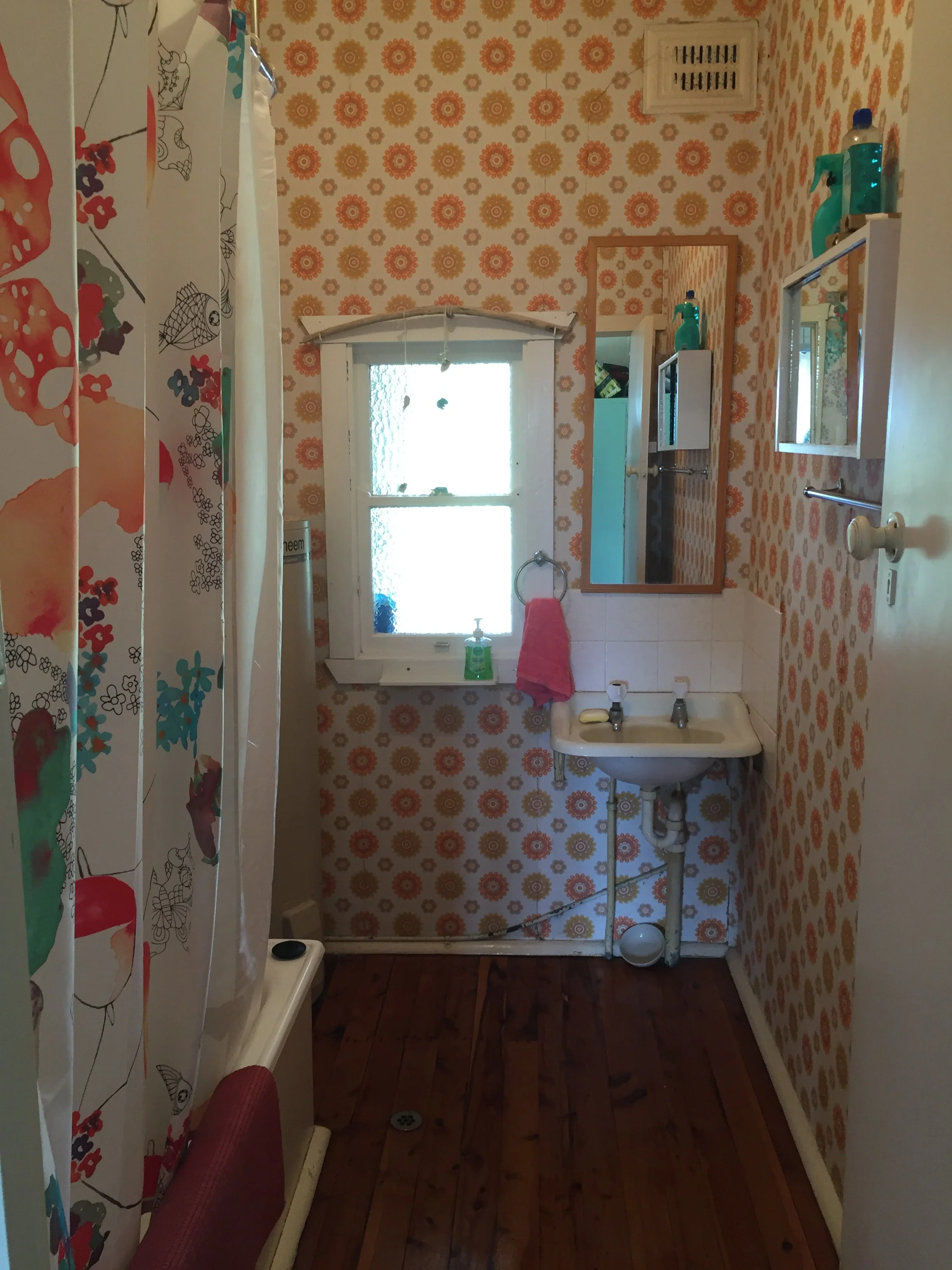 Bathroom Before