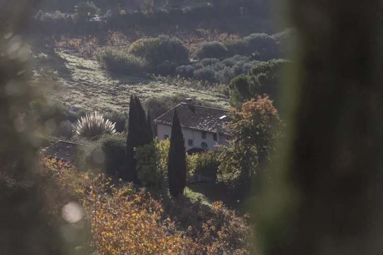 X_Deep+Reset+Sanary-35.webp