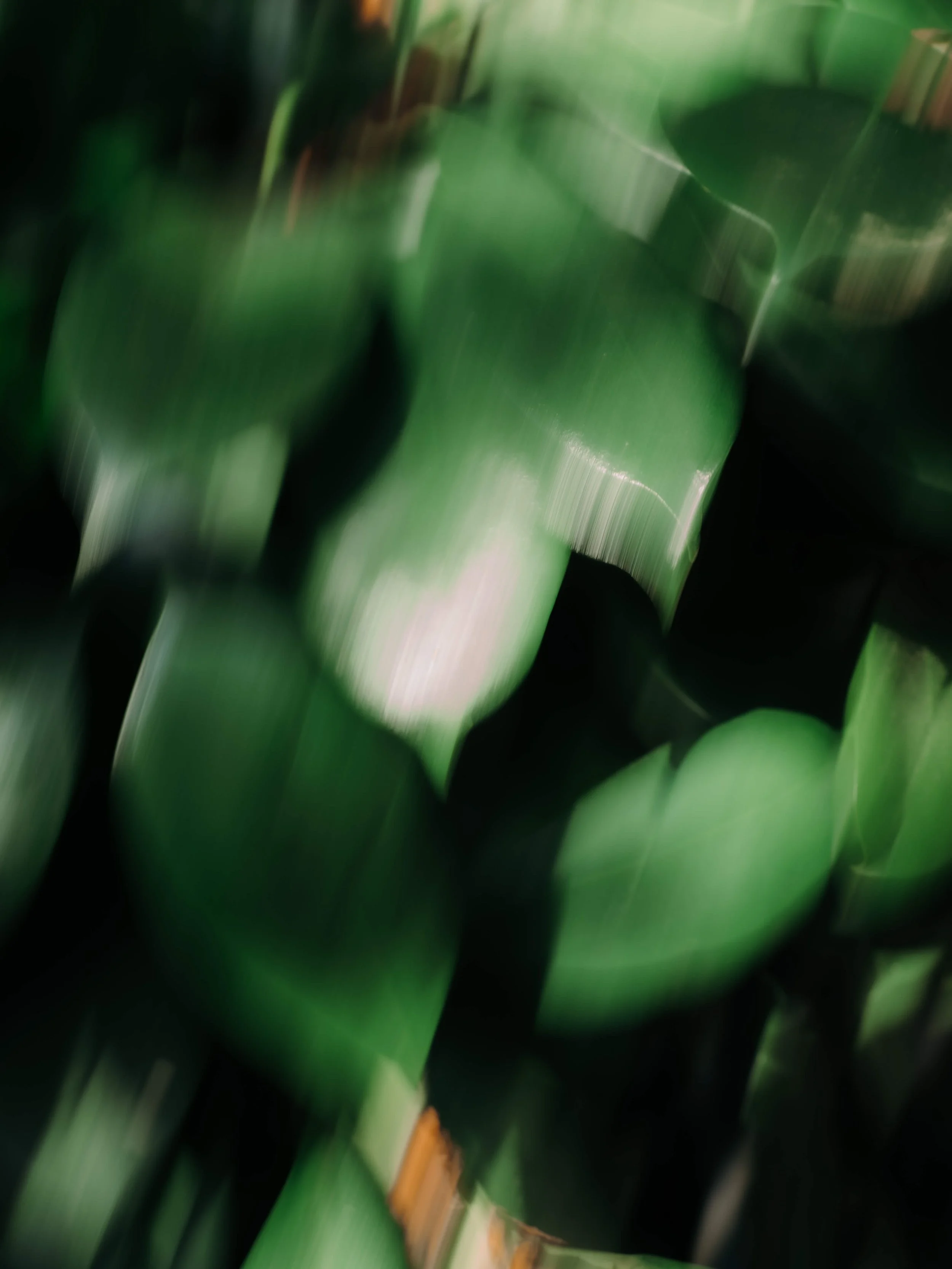 creative-personal-brand-photography.jpg