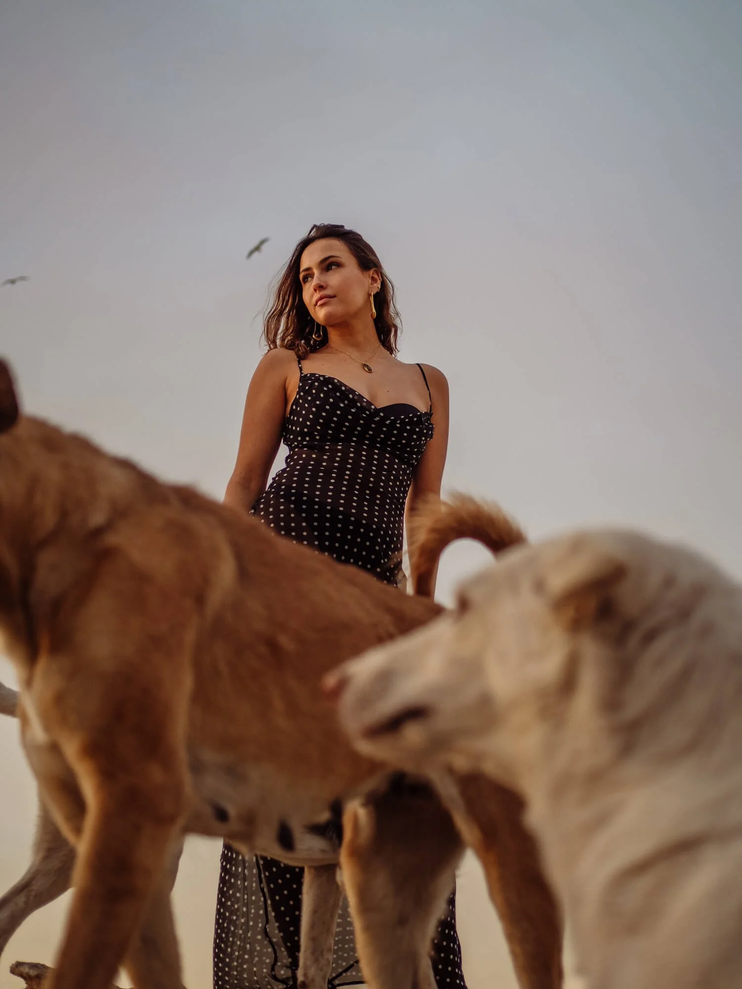 editorial-personal-brand-shoot