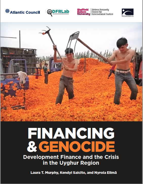 Financing &amp; Genocide: Development Finance and the Crisis in the Uyghur Region