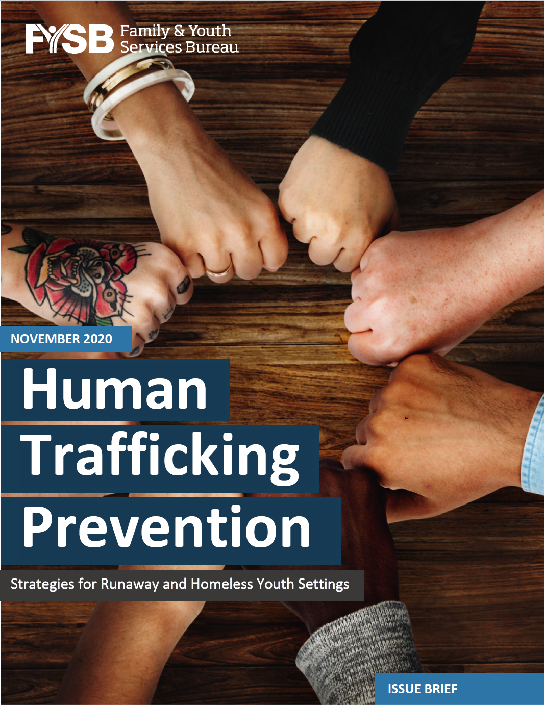 Survivor-Informed Services Among Runaway and Homeless Youth Programs