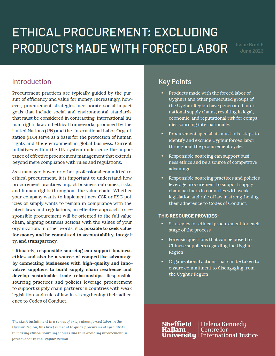 Ethical Procurement: Products Made with Forced Labor