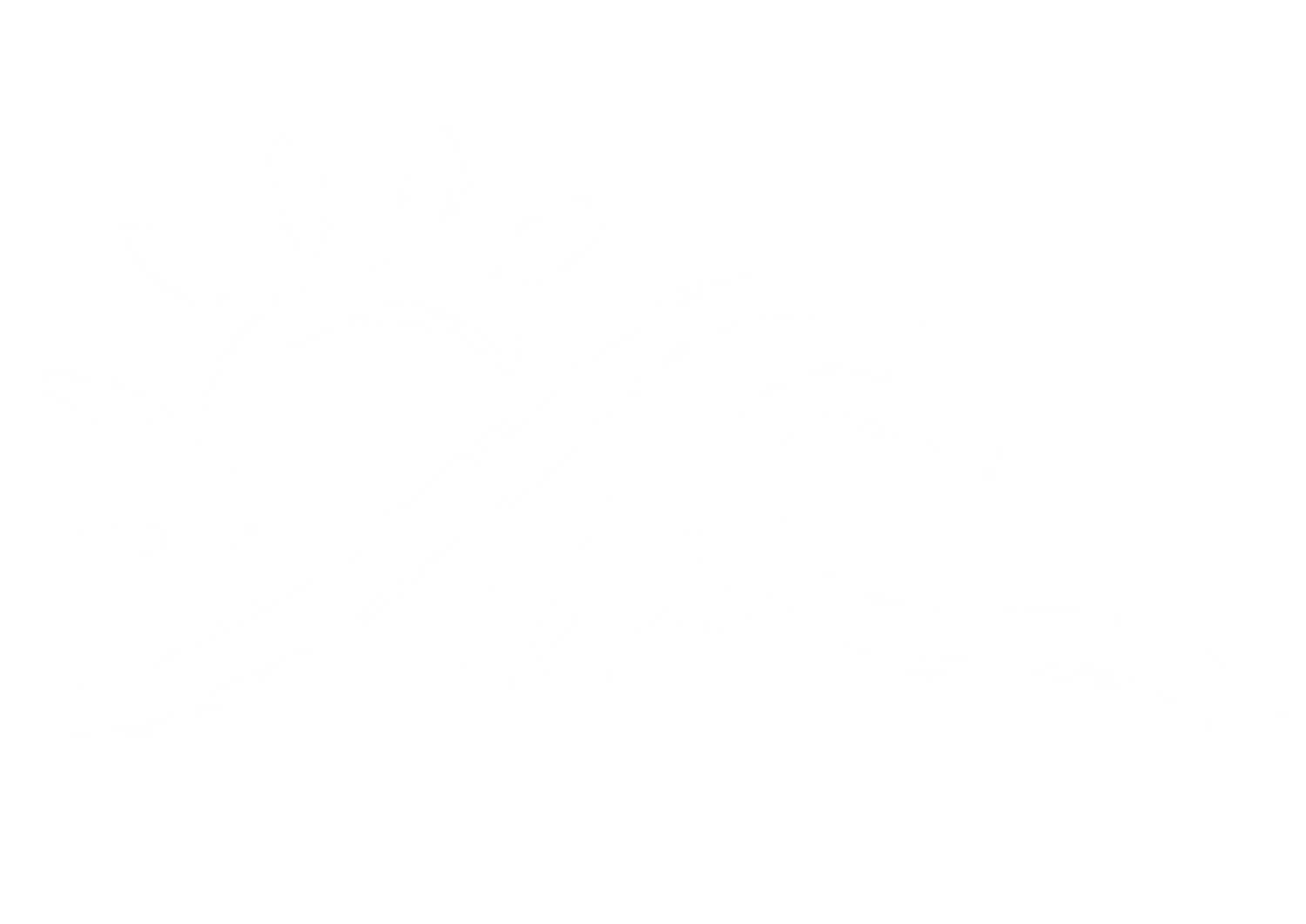 Like the Sun