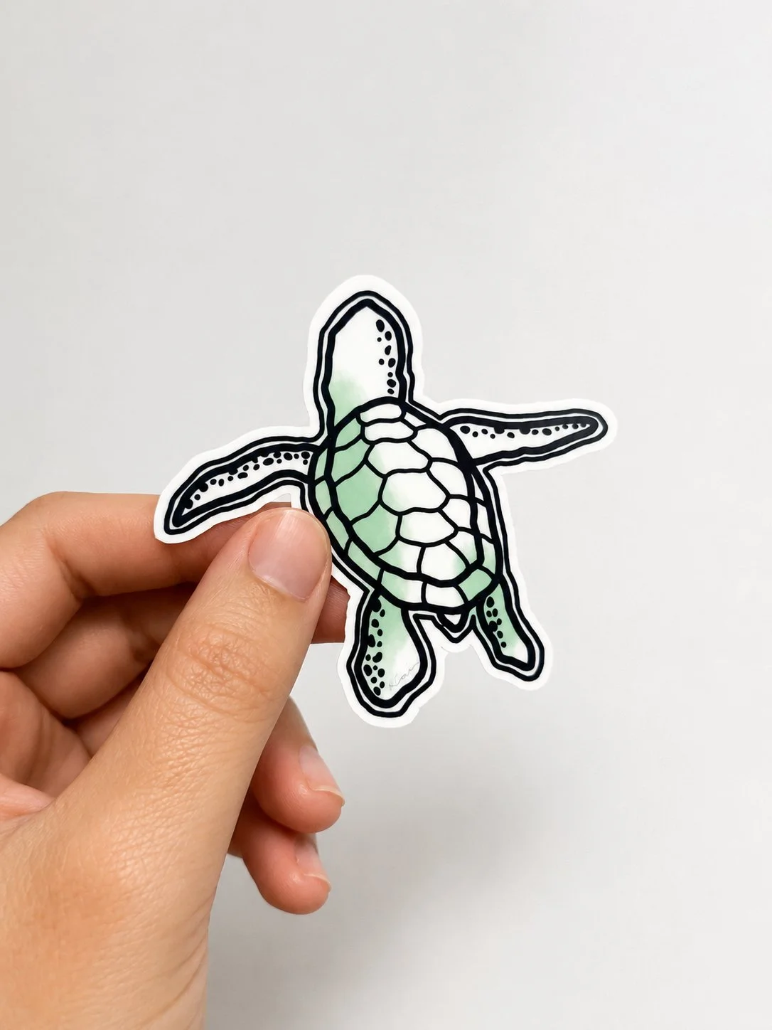 Turtle Hatchling Sticker