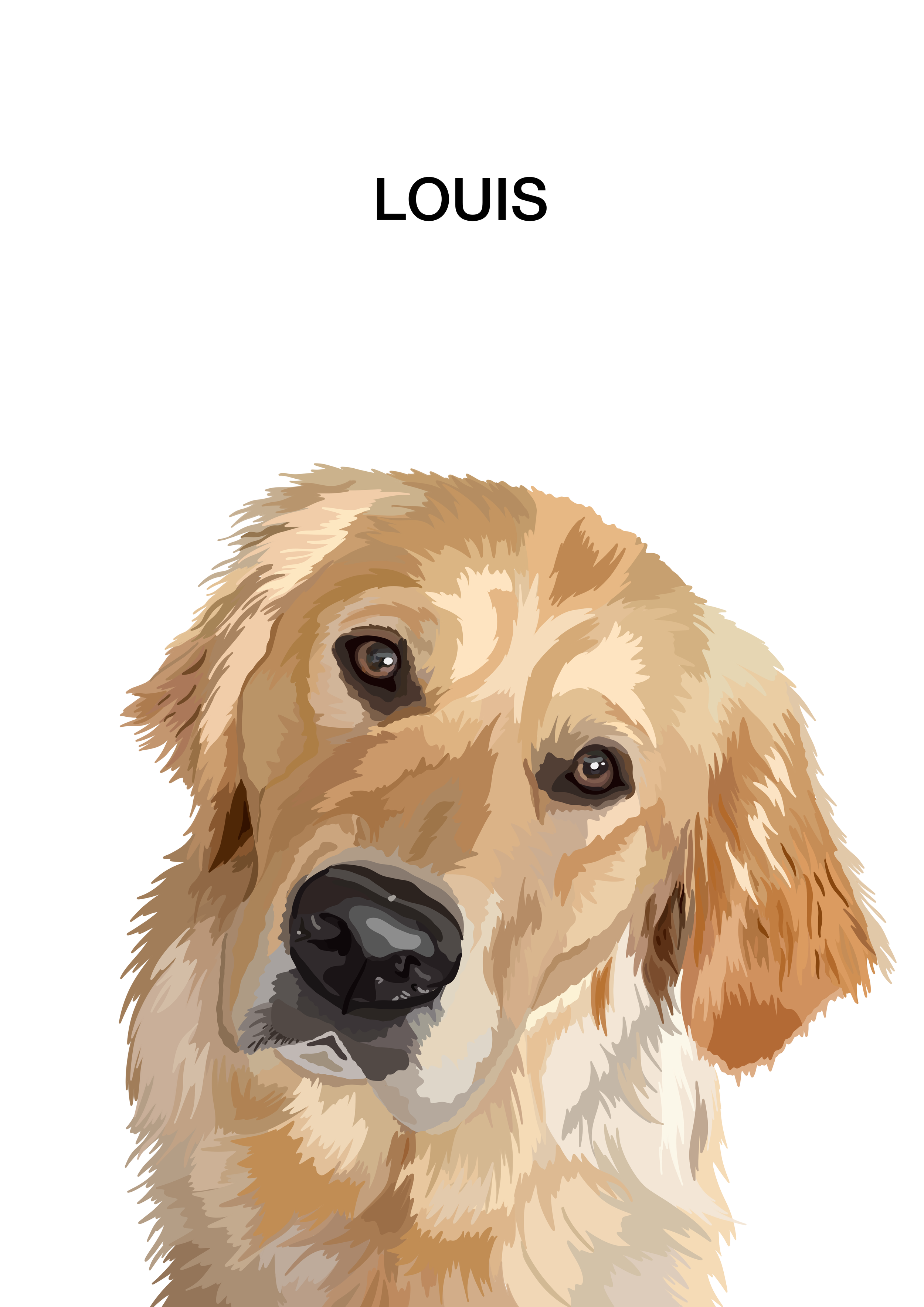 Pet Portrait